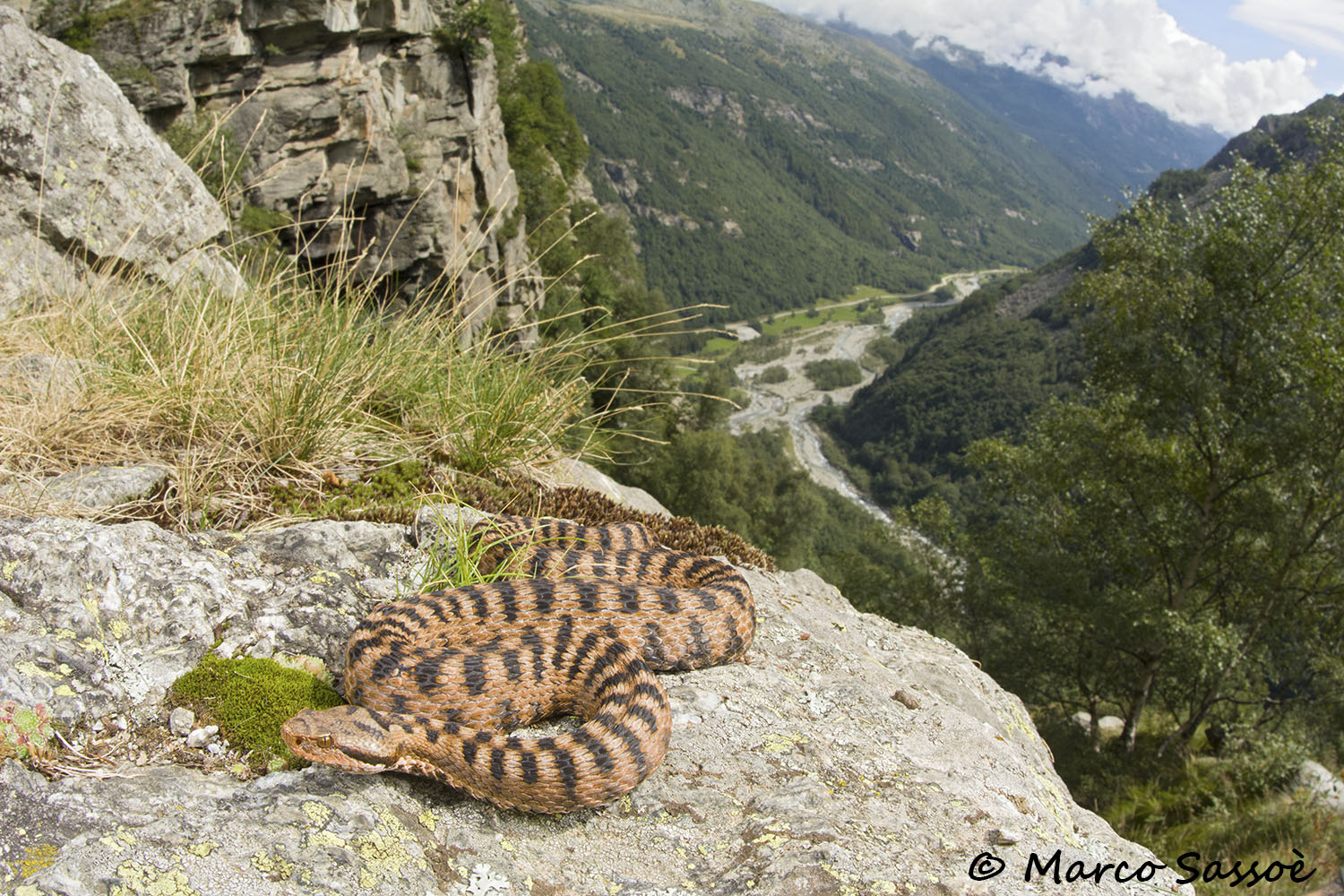 La terrazza sulla valle