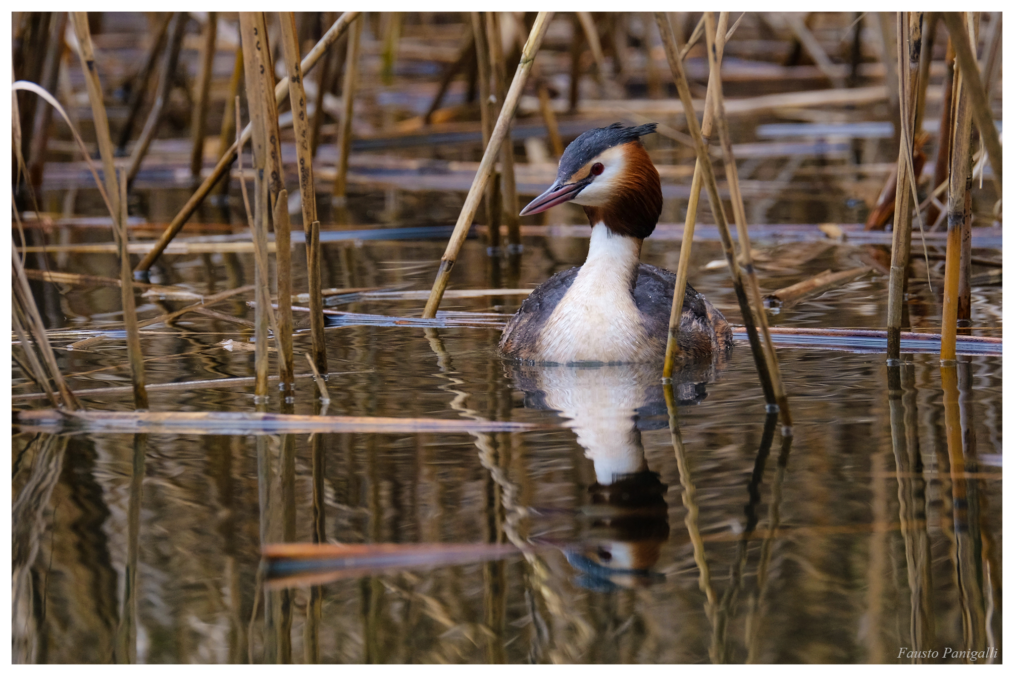 Svasso,lago di Endine, foto scattata dal pedalò.