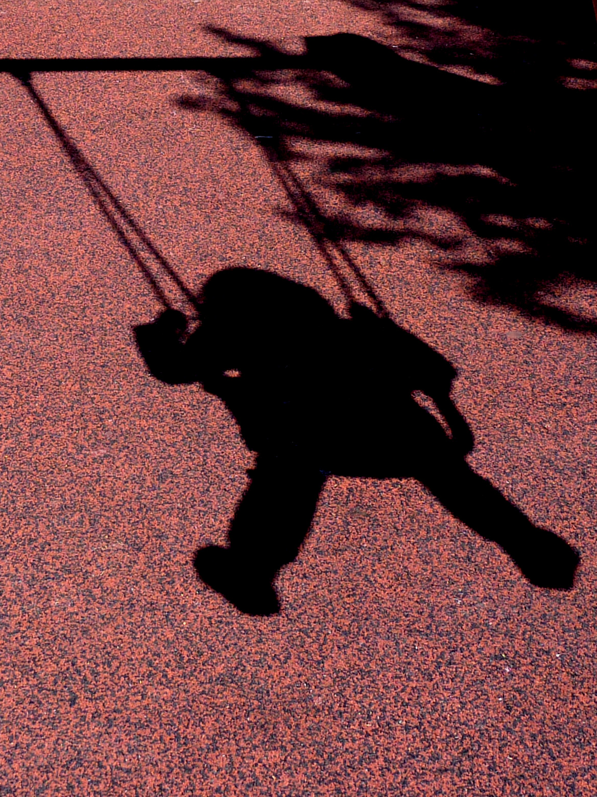 Lisa: ricordo di un giorno di sole