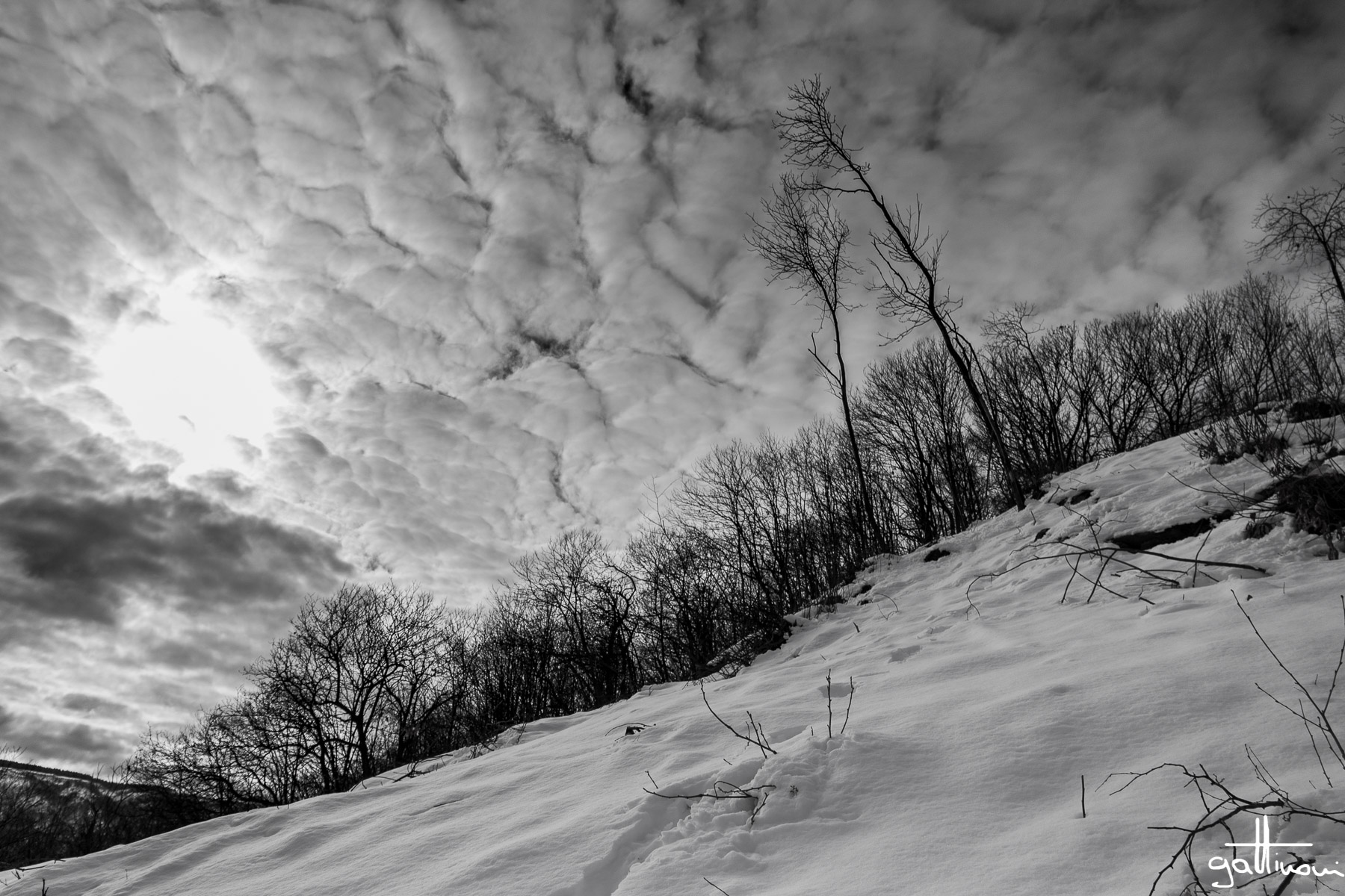 winter sky _ the couple