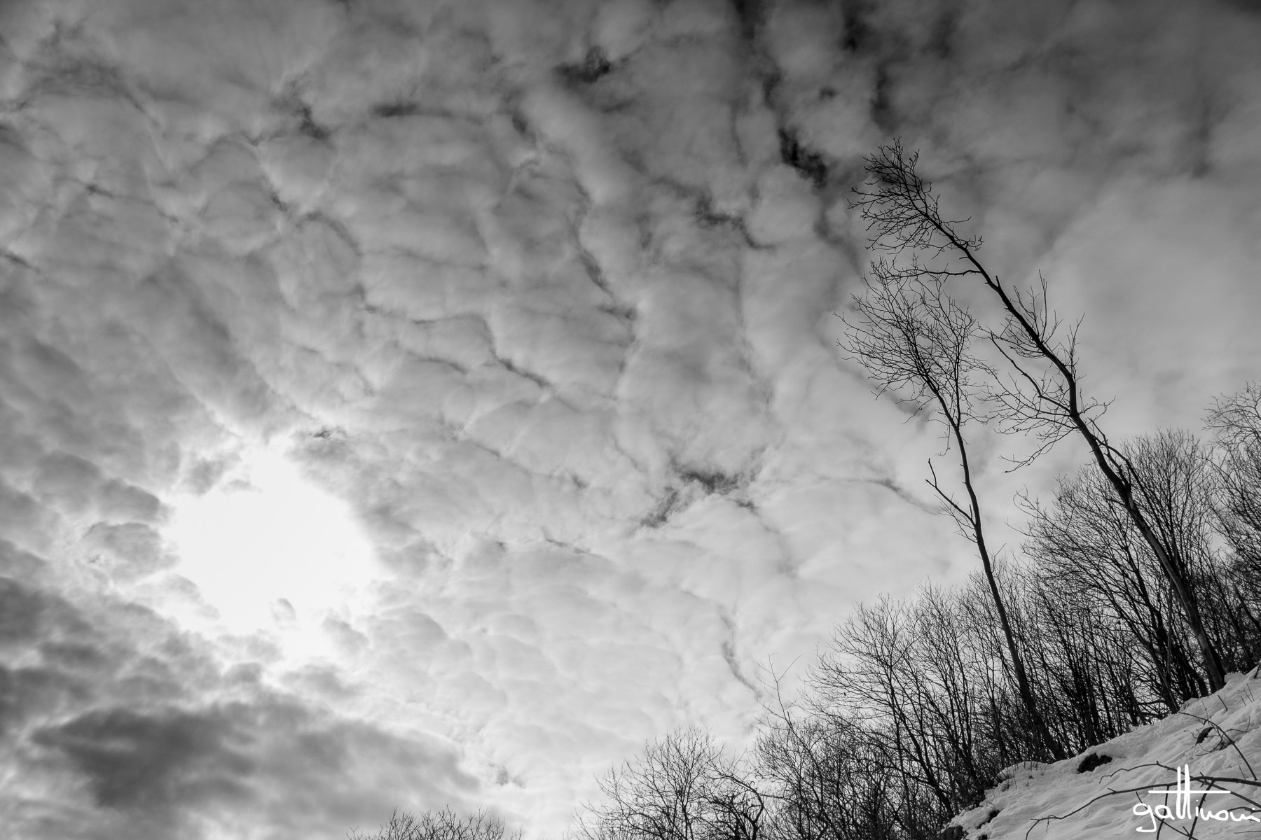 cielo d'inverno _ la coppia 2