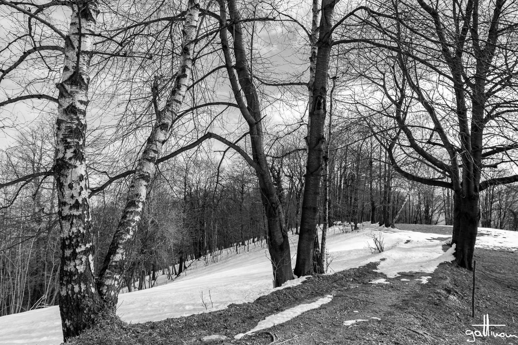 winter sky _ different types