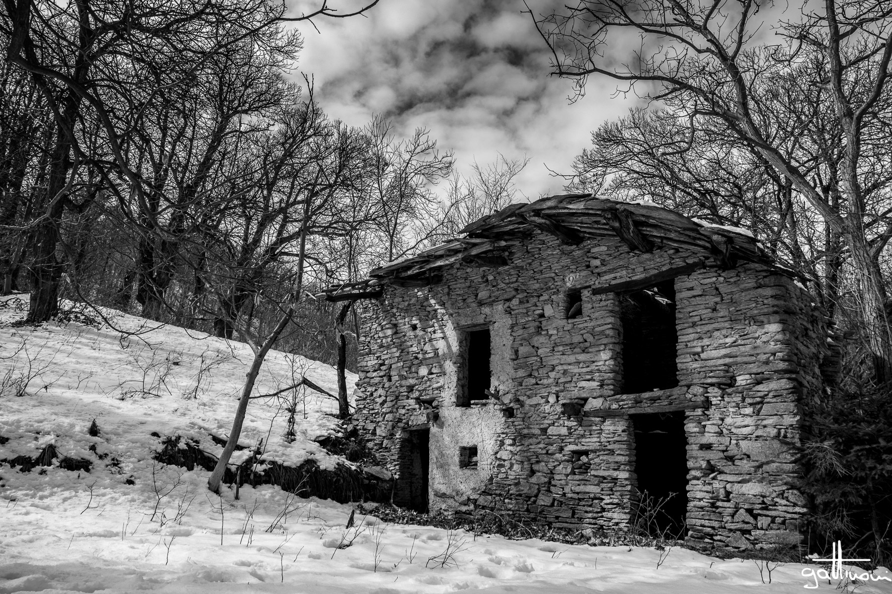 cielo d'inverno _ casa nel bosco