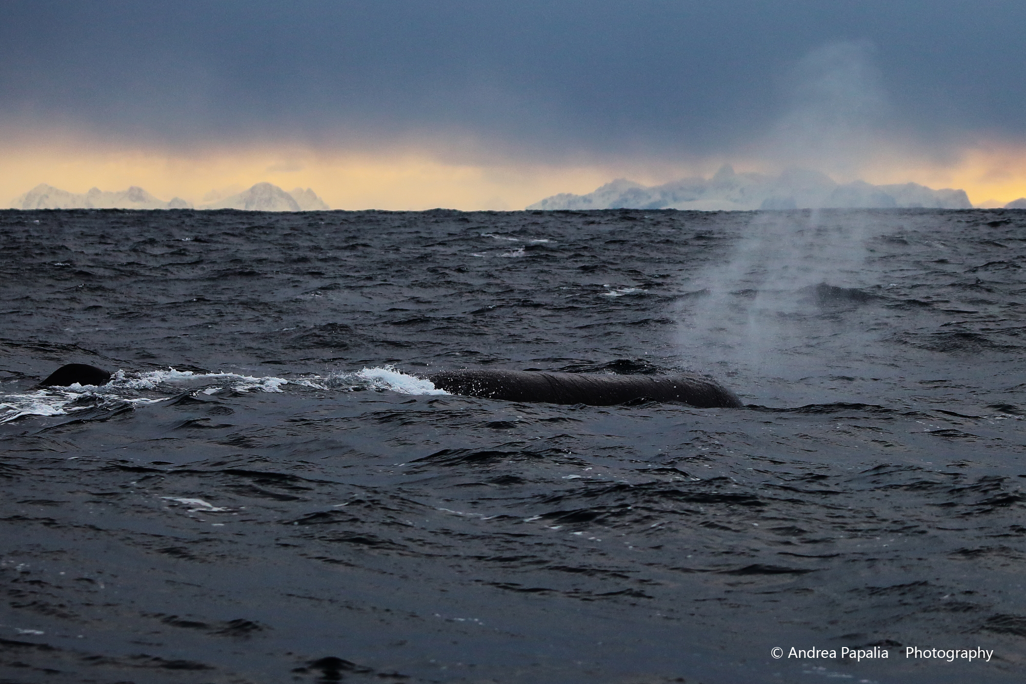 The breath of the giant ...