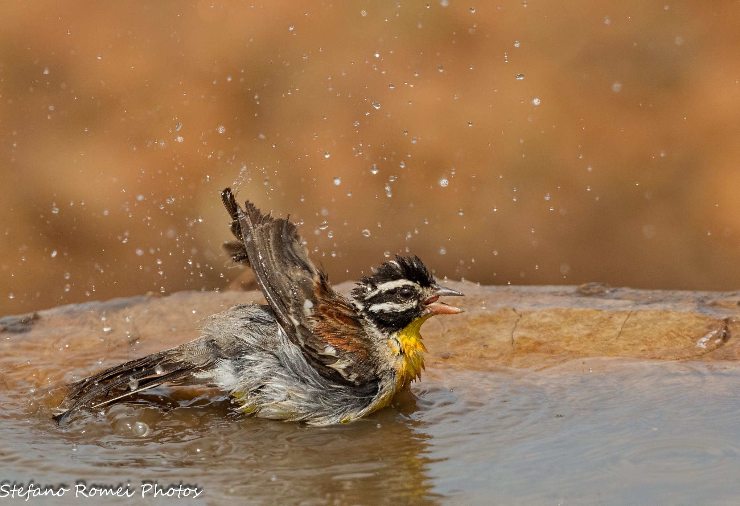 at least a thank you ...