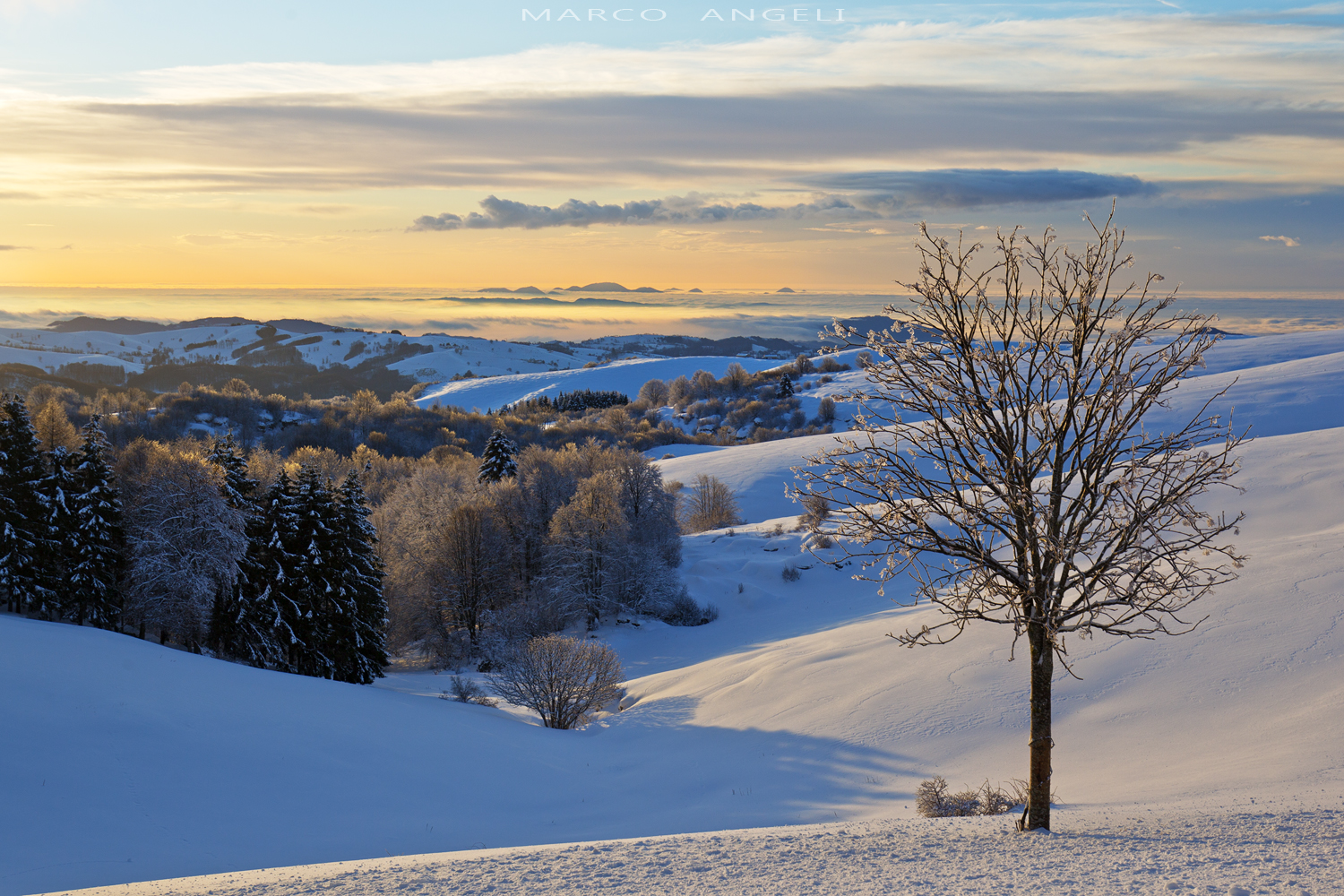 Spectator of thousands of sunrises