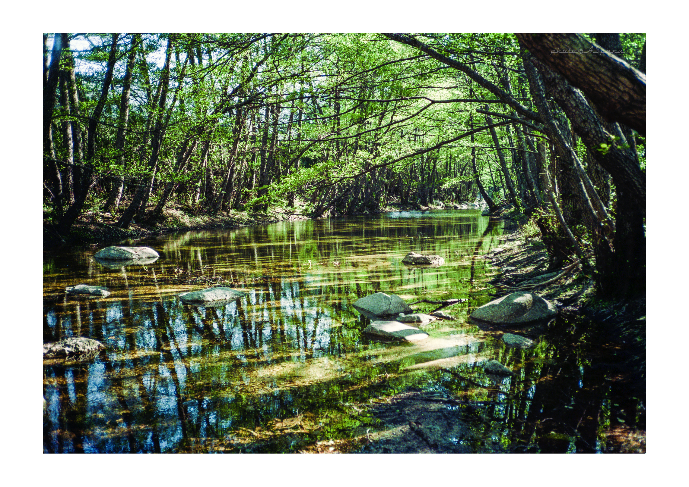 Riu Frumeneddu, Dorgali - T5 yashica with Fuji Film