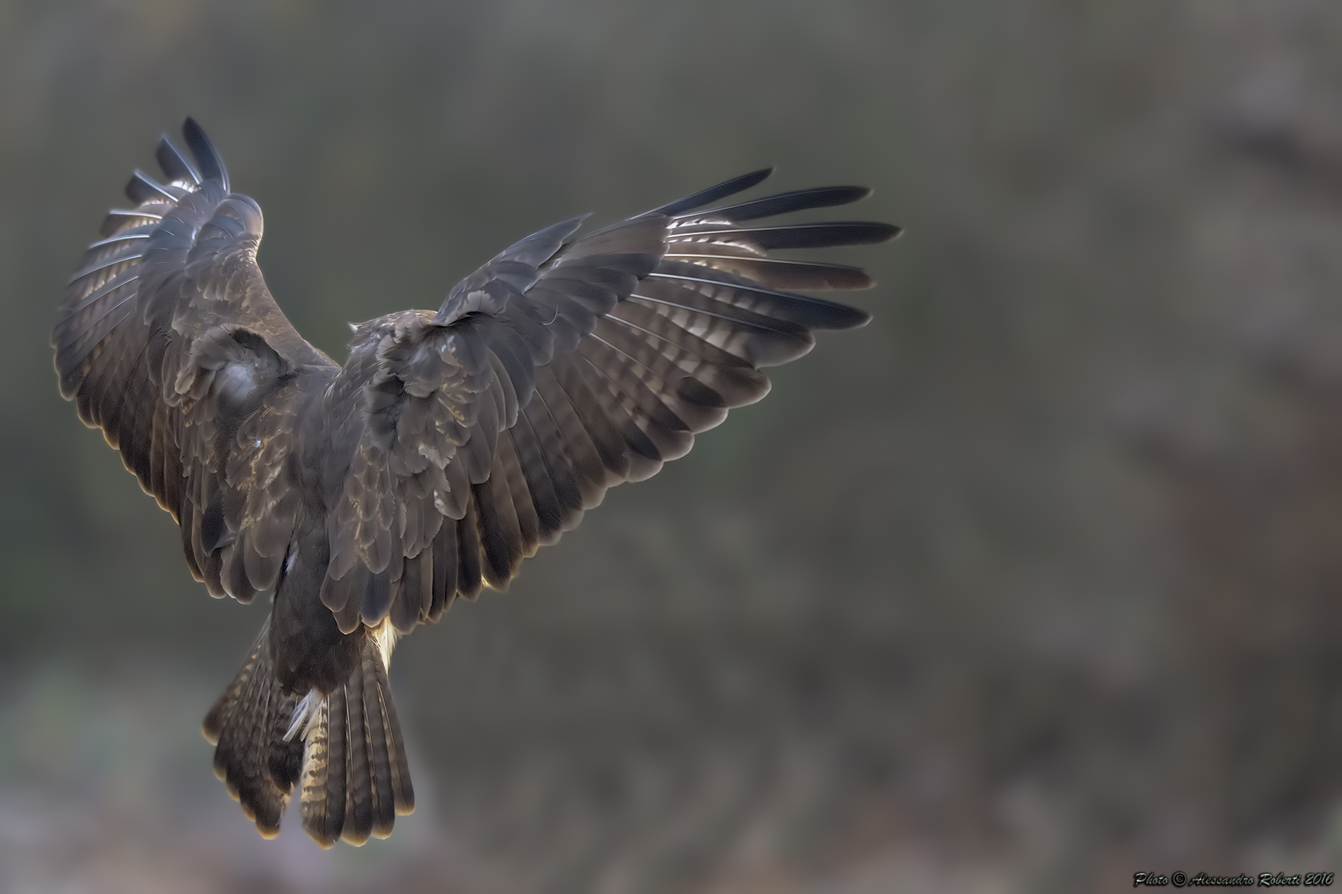 Abbracciamoci...............