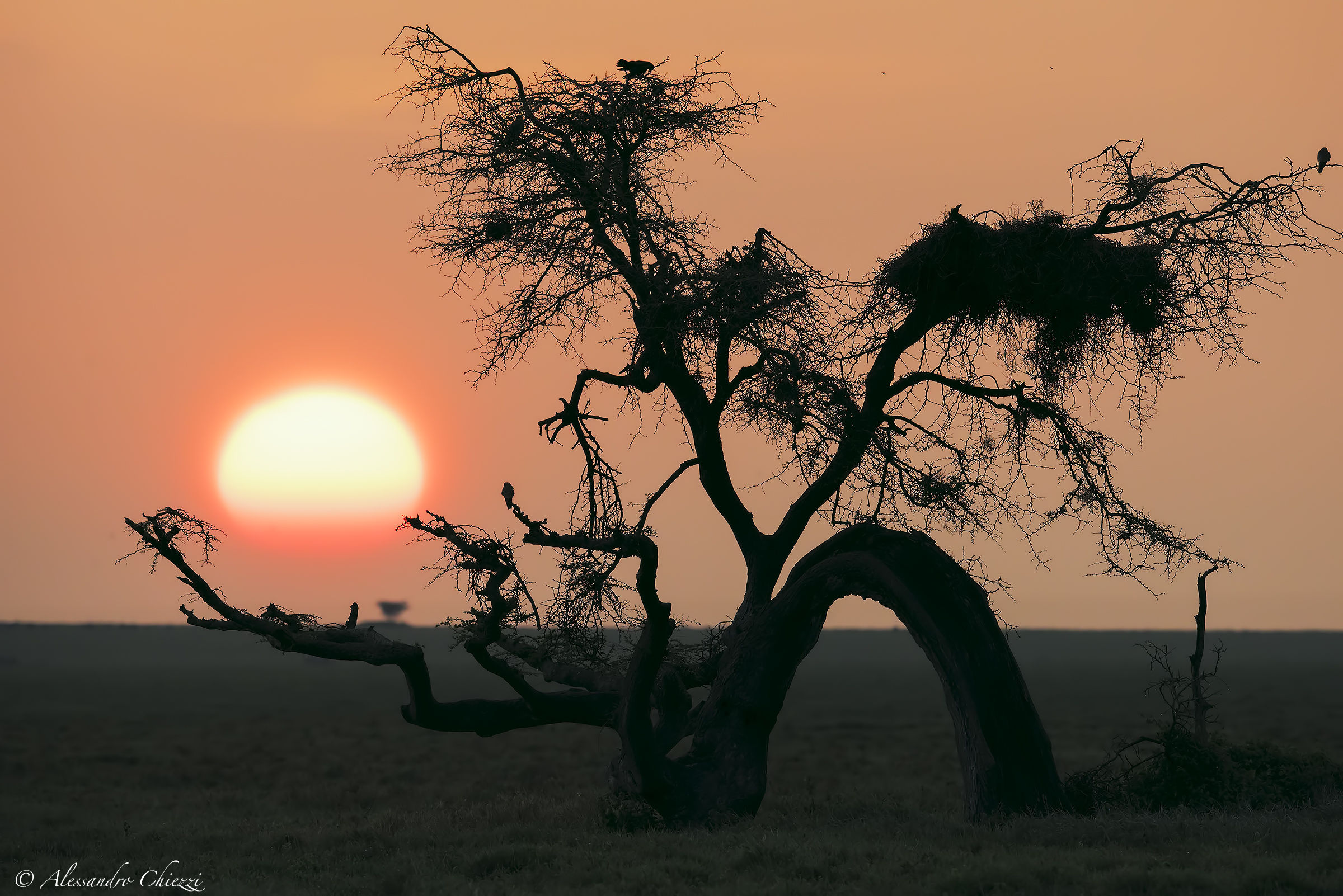 Sunset on the Serengeti