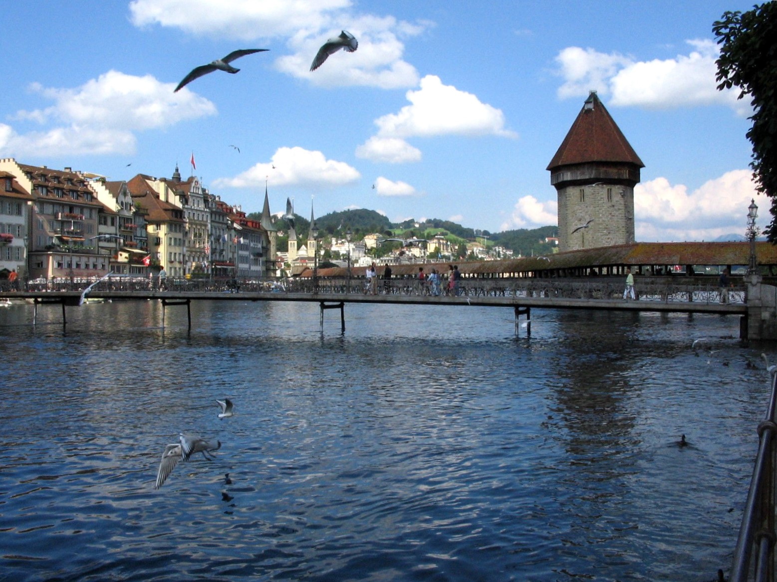 Sul lago dei 4 cantoni