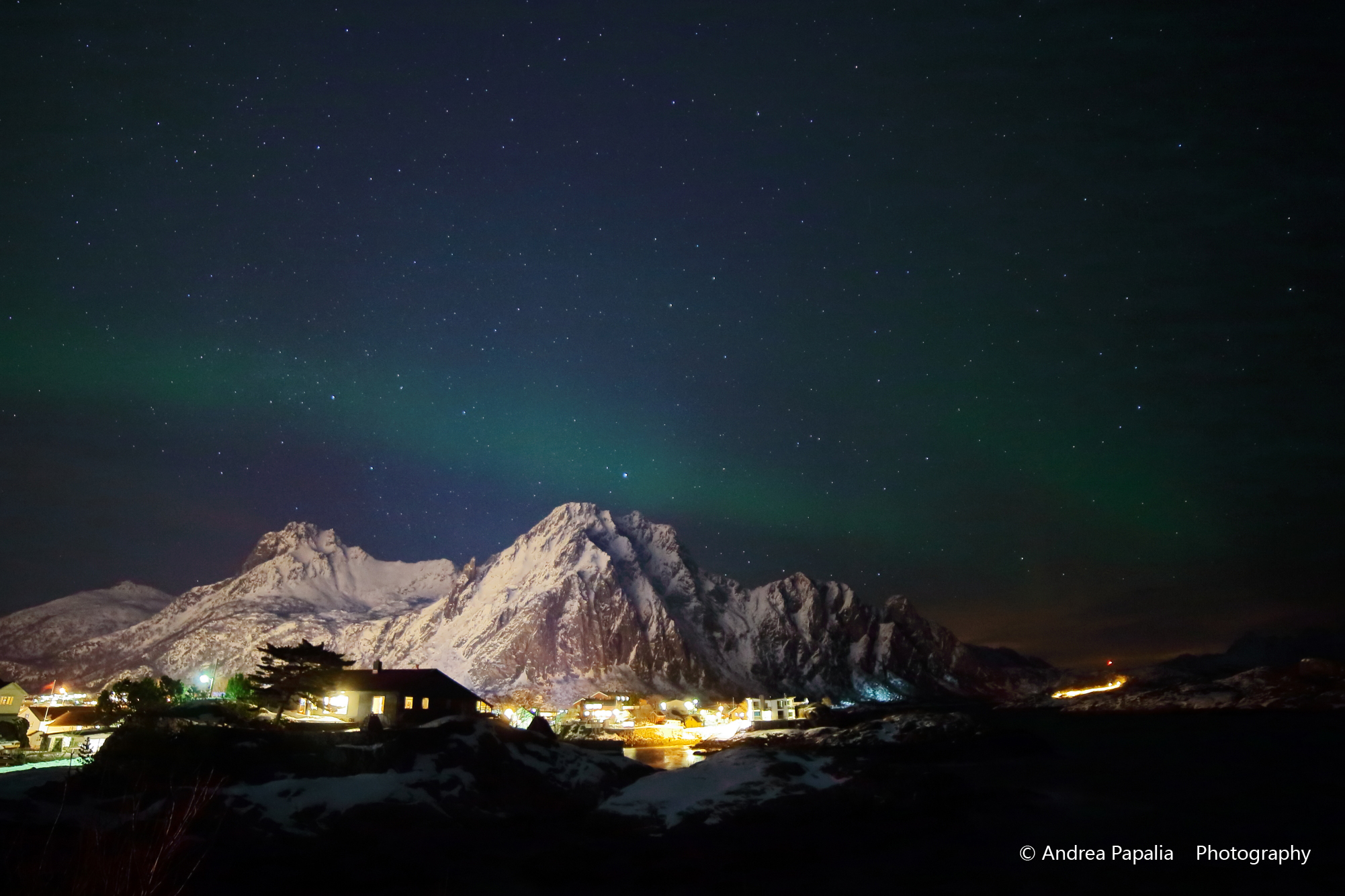 The caress of the queen of the night