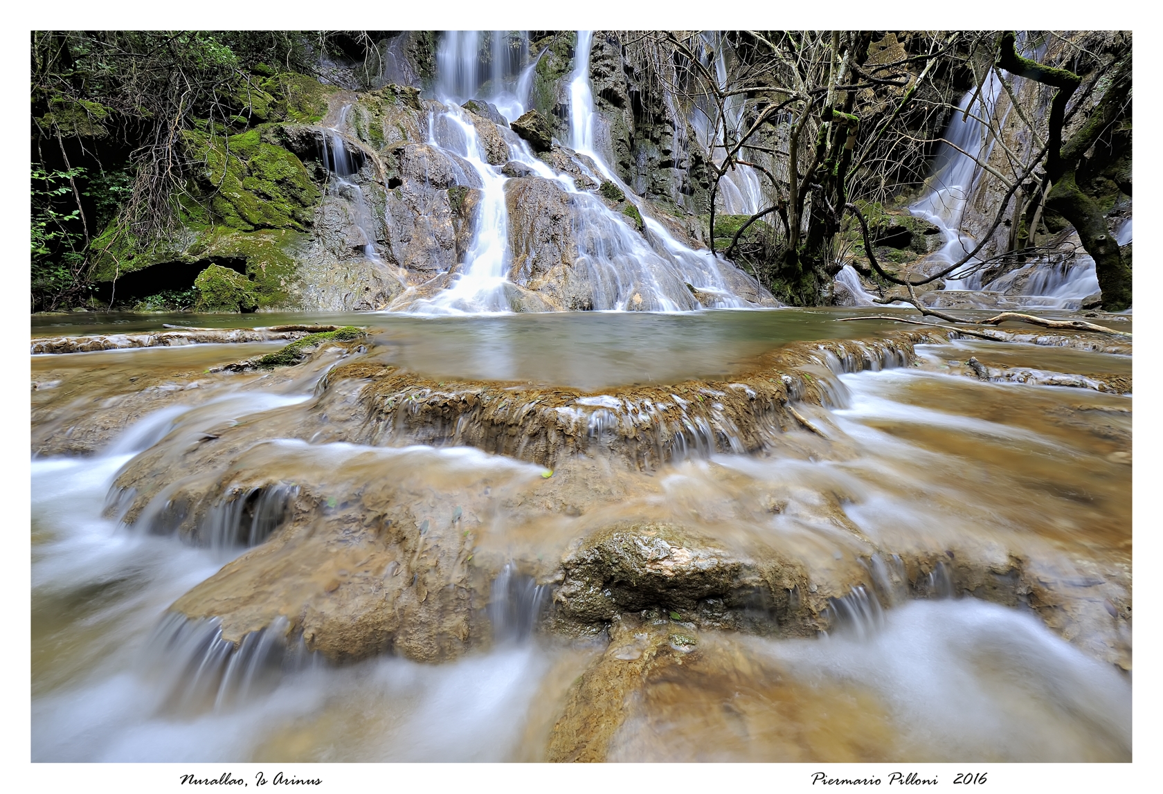 Nurallao, Is Arinus PmP38825