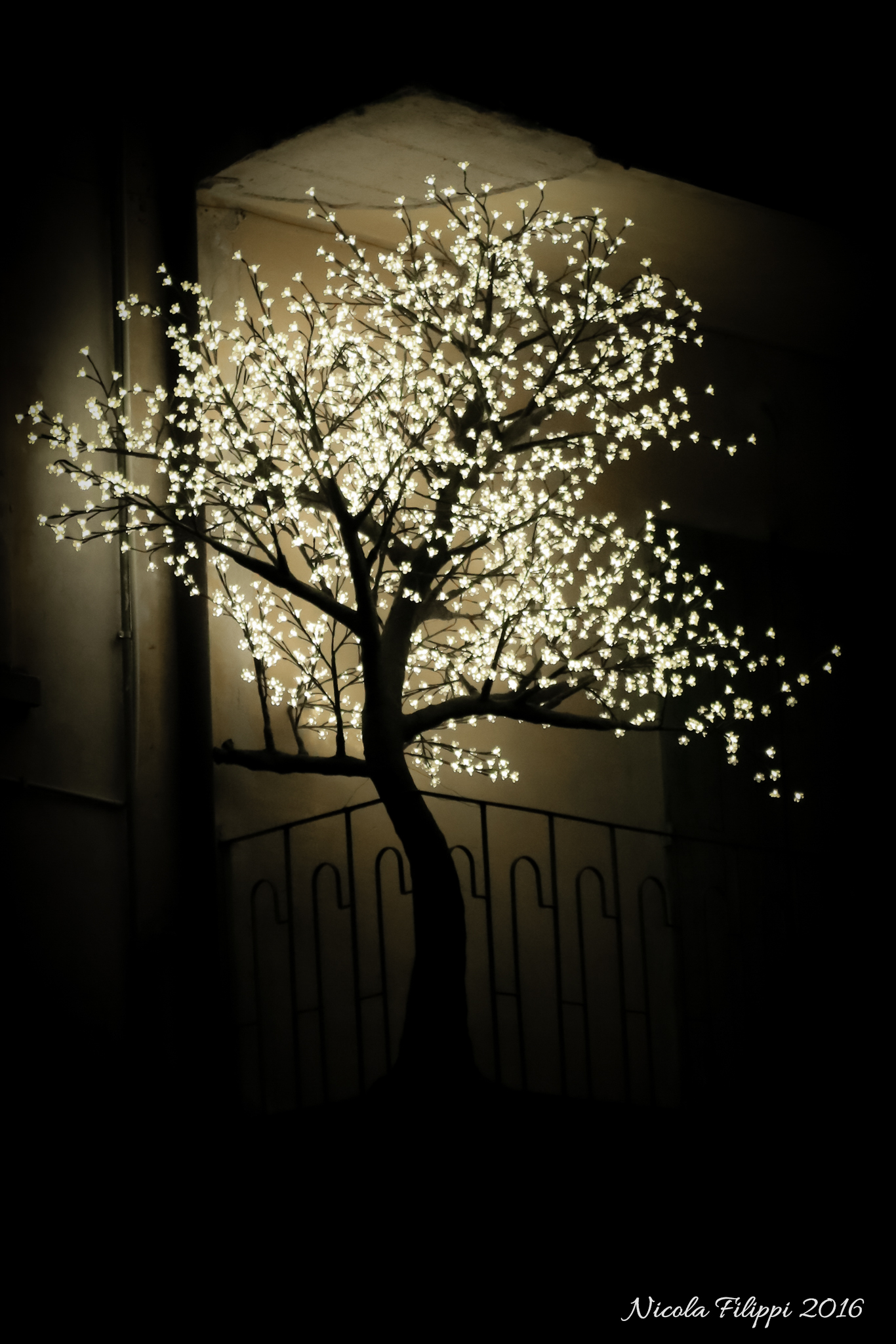 un albero Luminoso