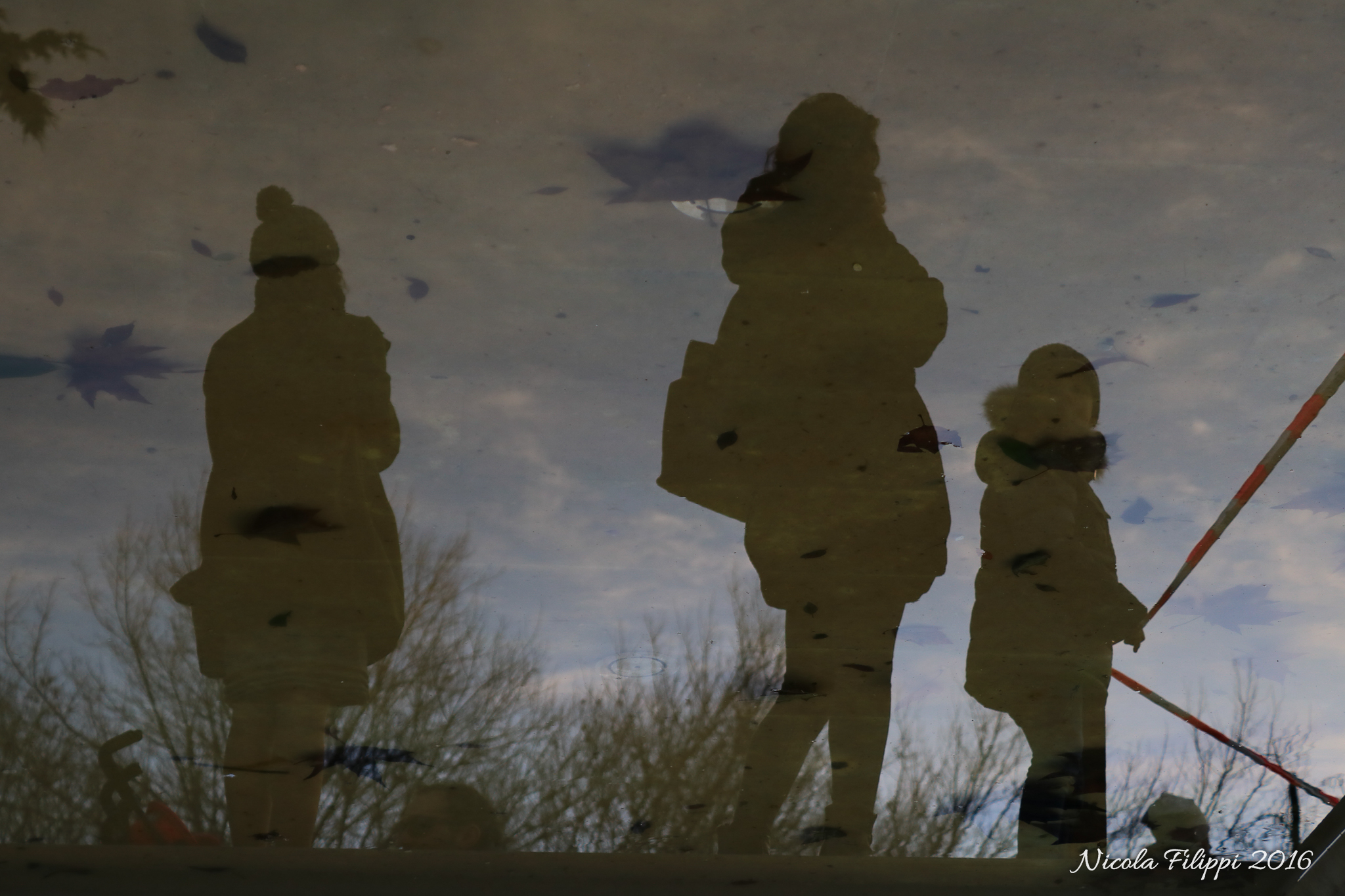 Reflections in the park