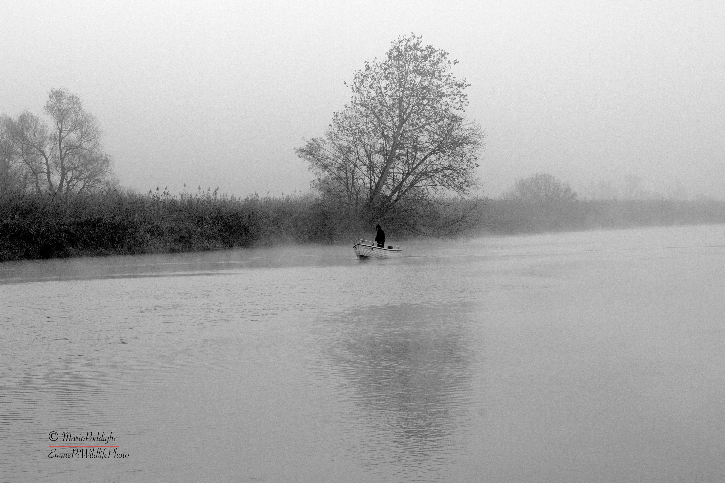 Fishing in the fog