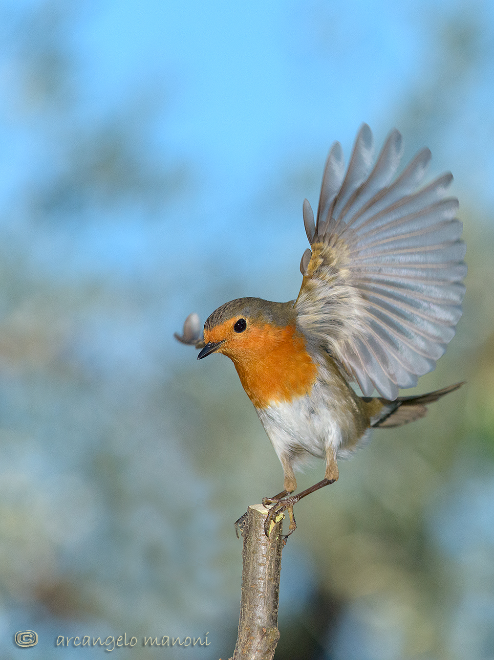 Un arrivo inaspettato