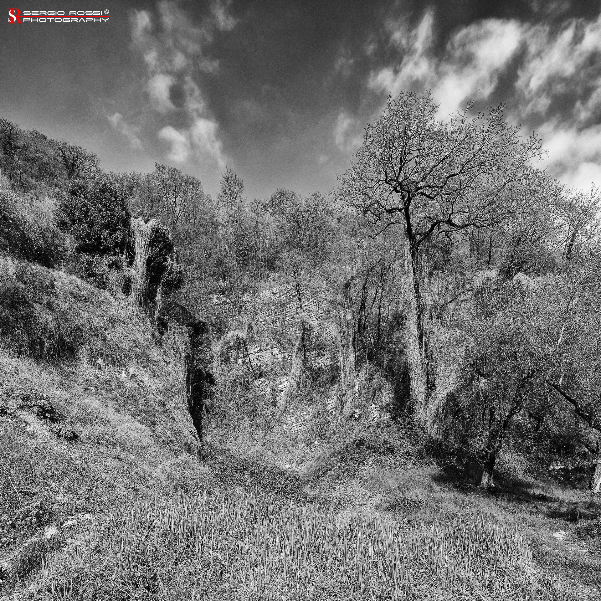 Natura selvaggia "Montisola"