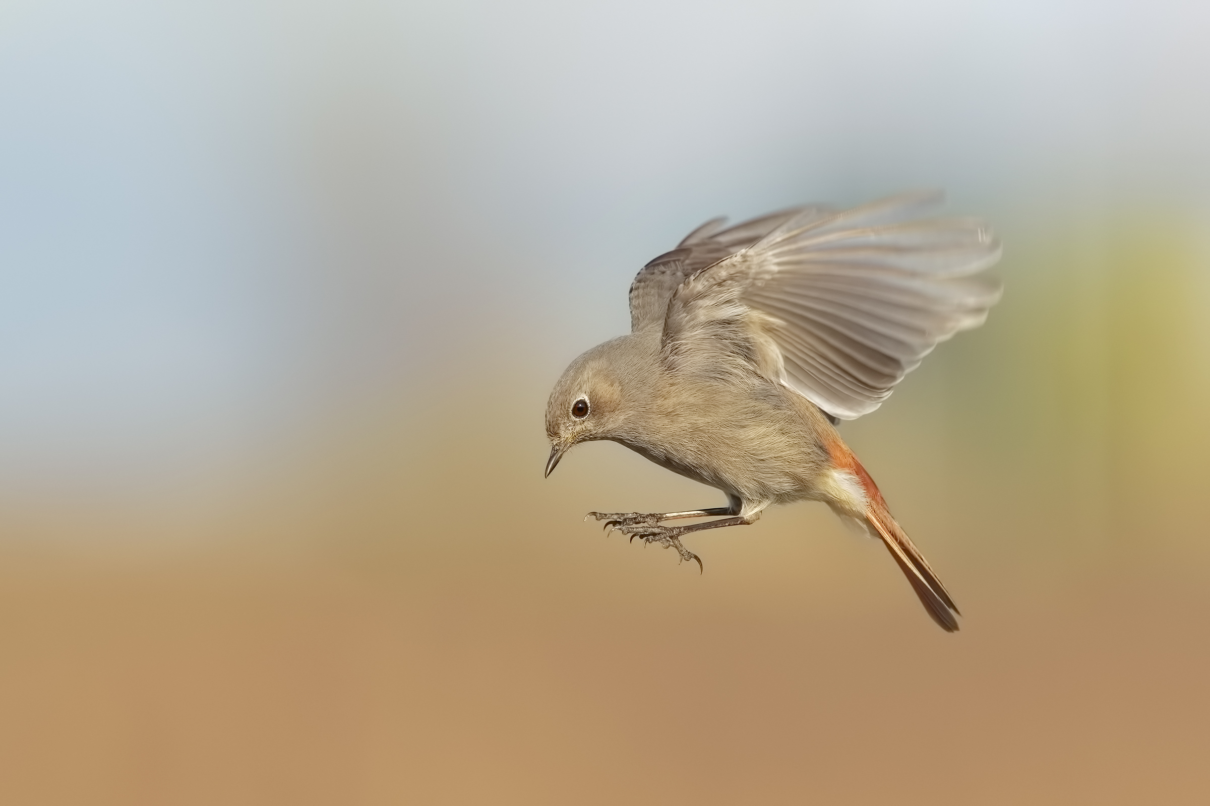 esercizi di stile.....