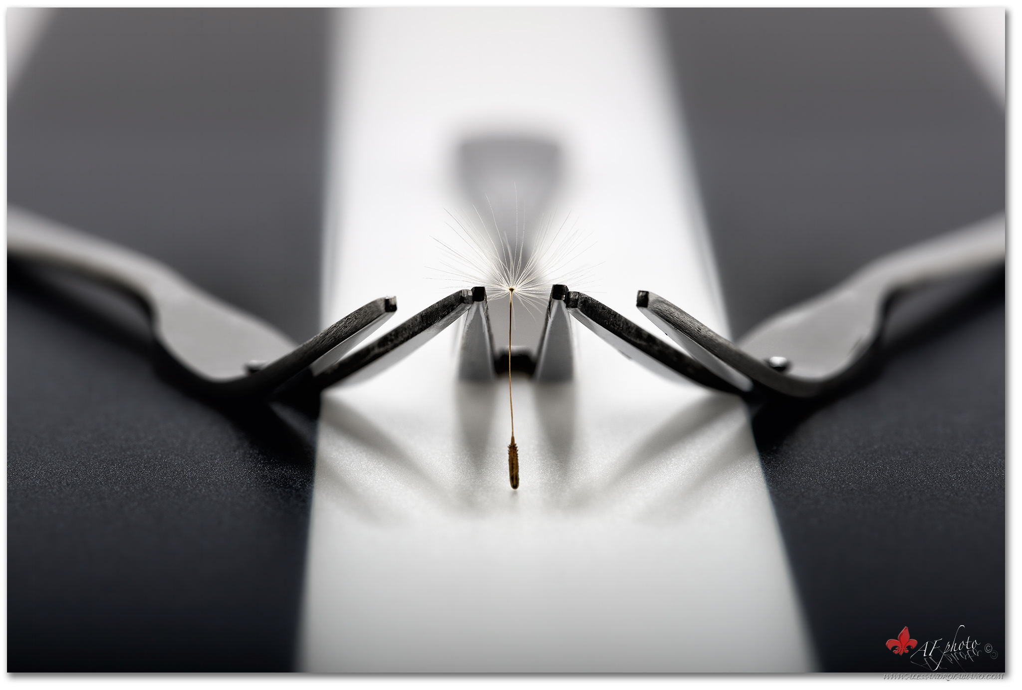 Contrasts between light and shadows