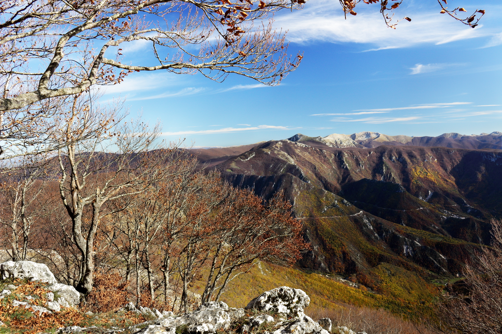 from Mount Livata landscape