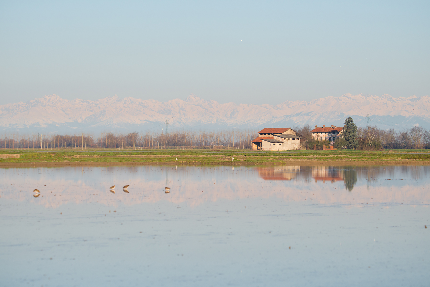 Prime risaie 2016 ..