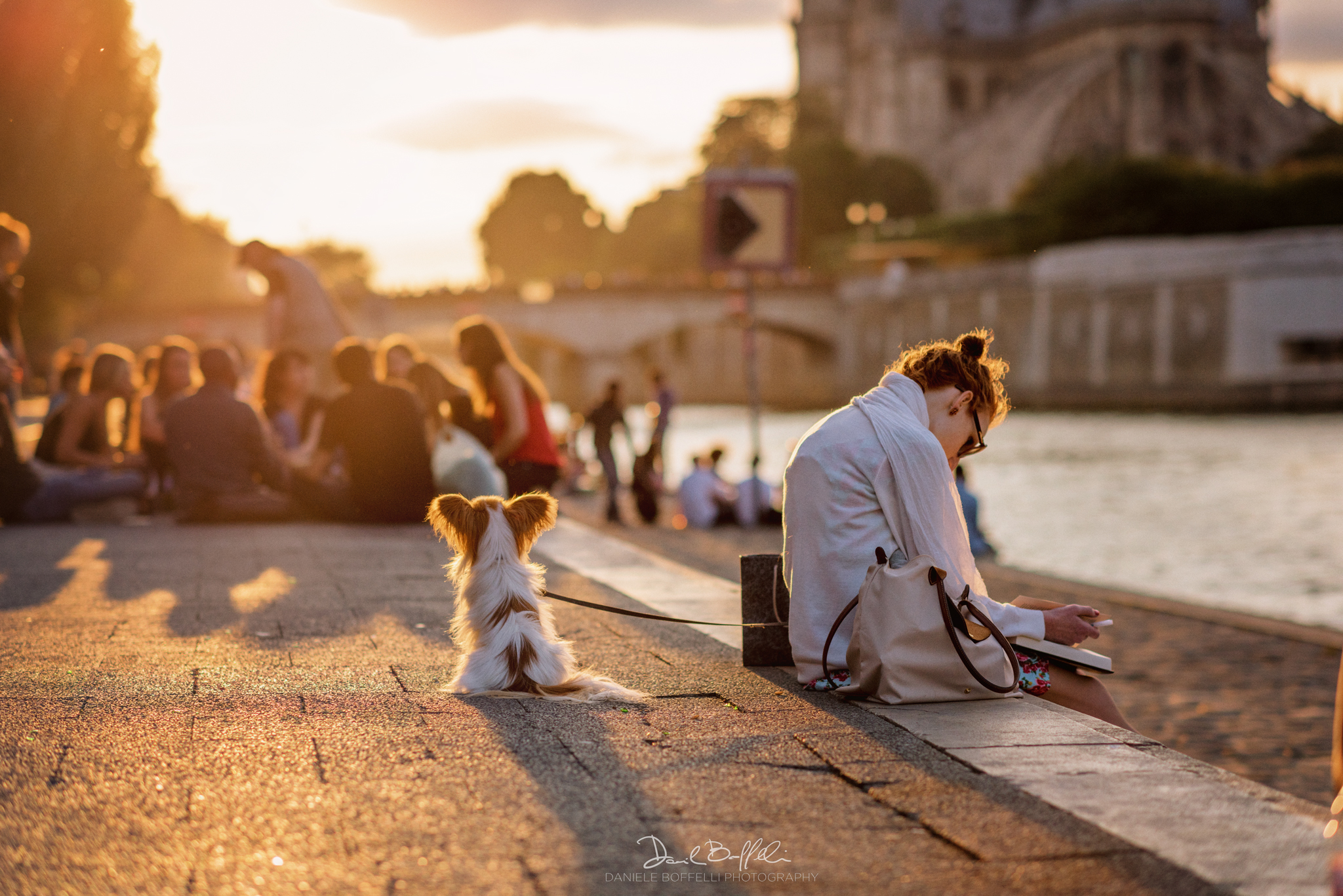 Tramonto a Notre Dame