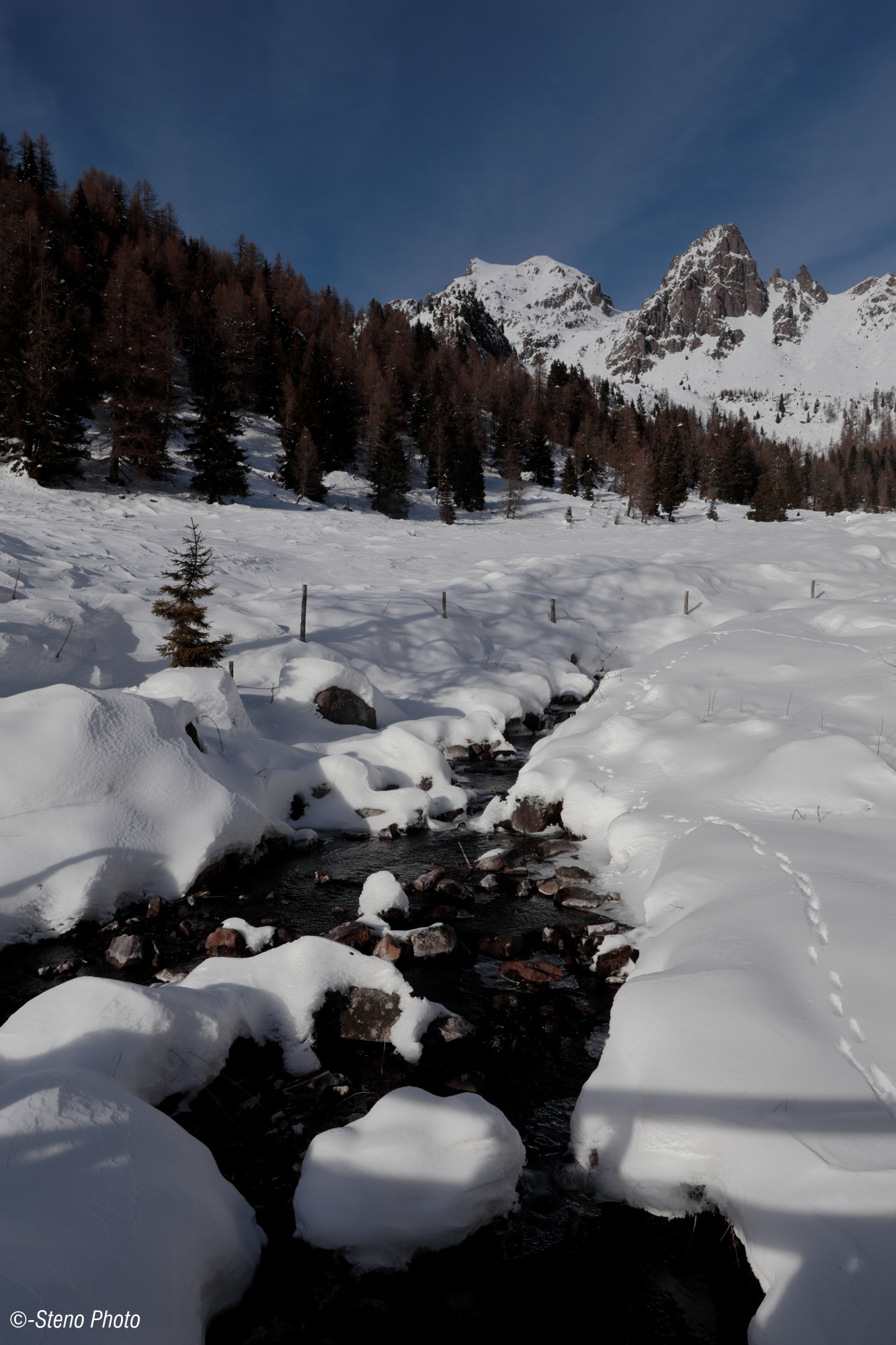 Cima delle Stellune 2