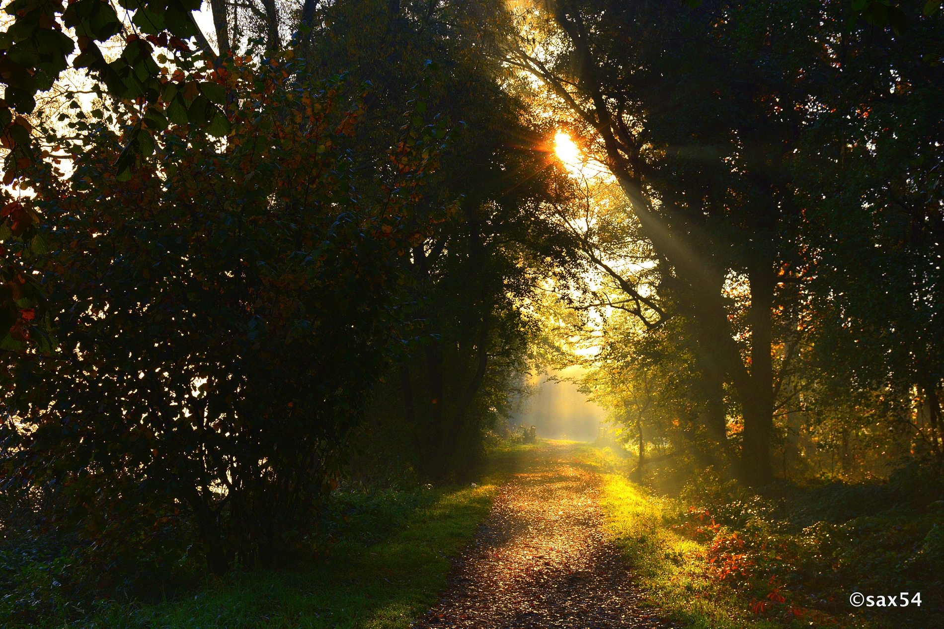 Walking ... like in a fairy tale
