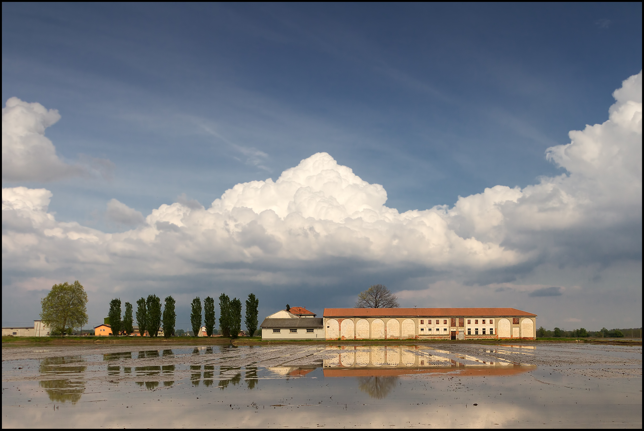 Cabin in the rice fields