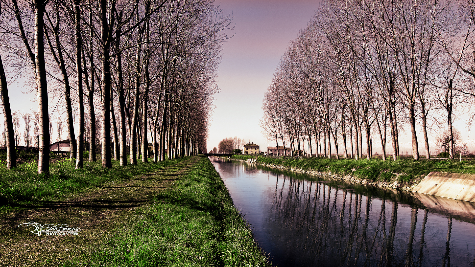 Riflessi tra pioppi e canali