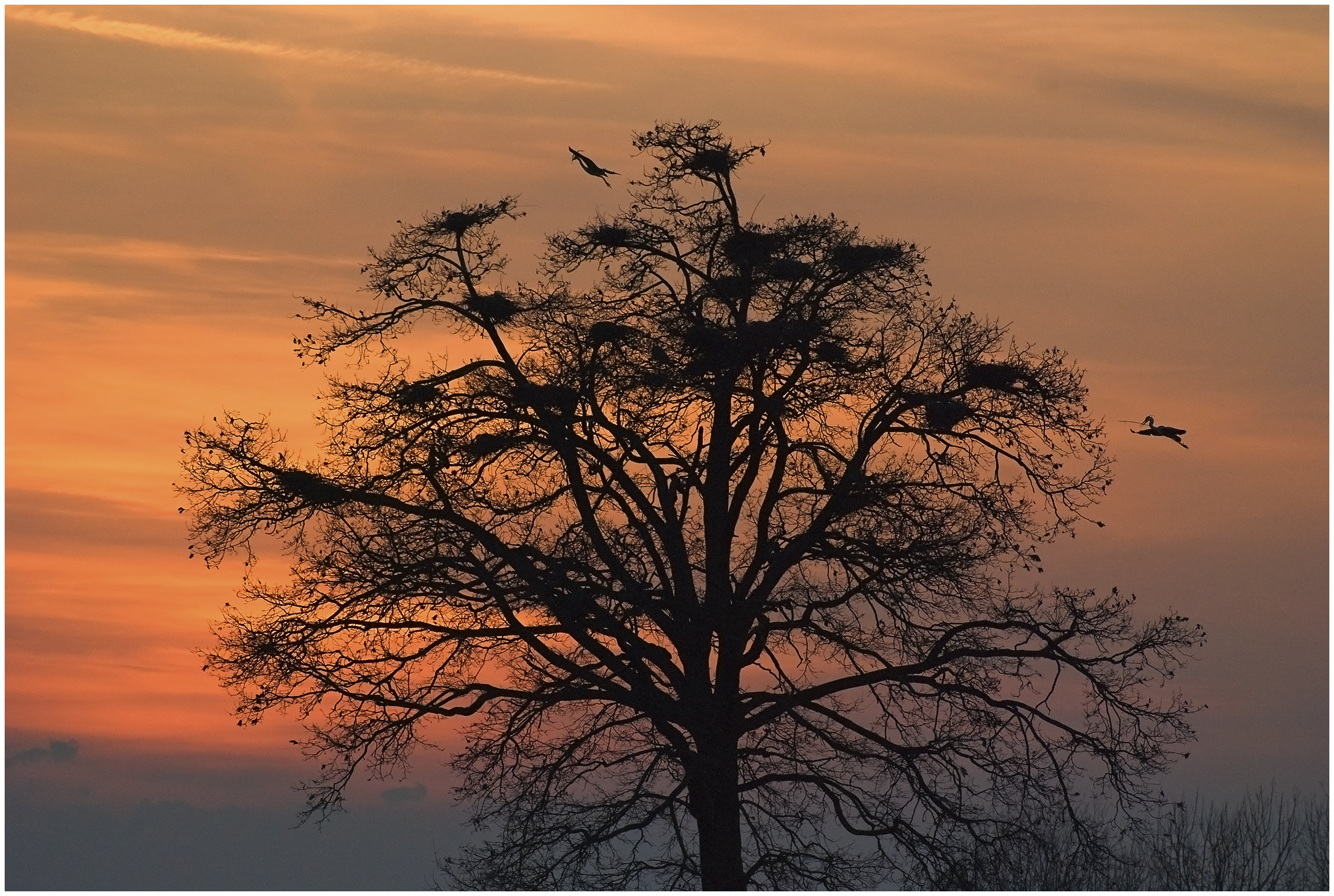Working around sunset garzaia