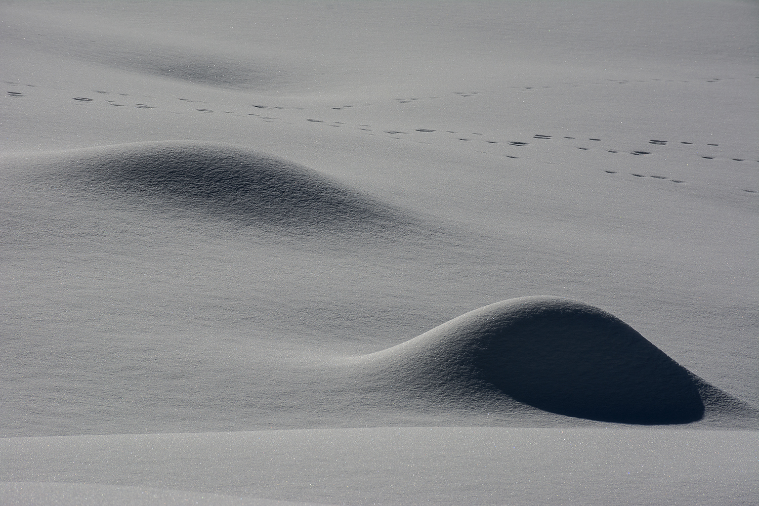 The dunes of snow
