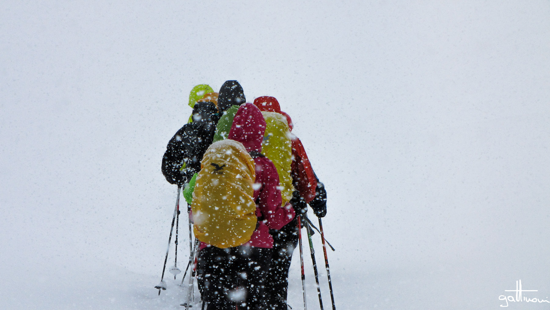 the strength of the group