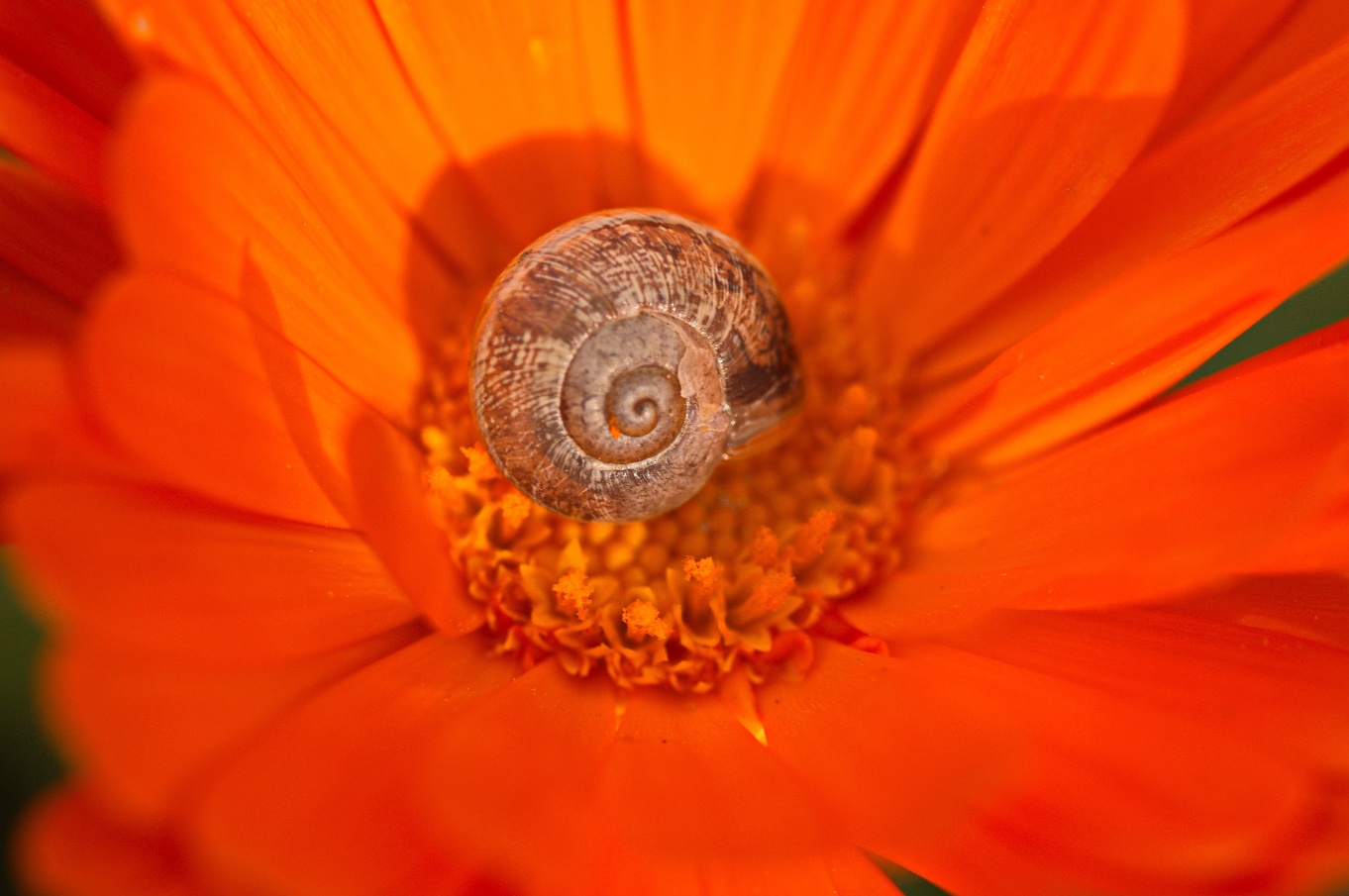 colori caldi di primavera