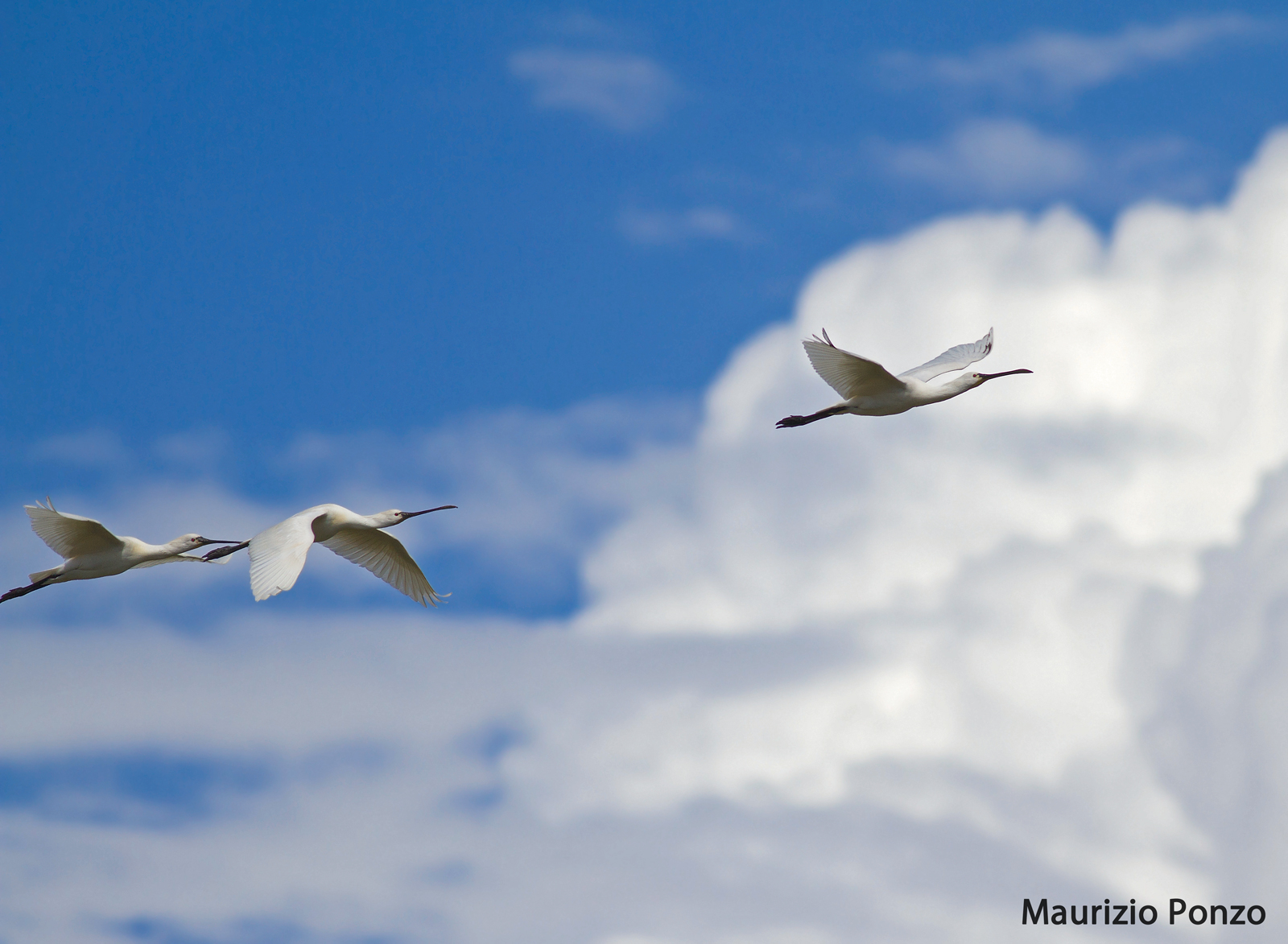 Only direction ... peace!