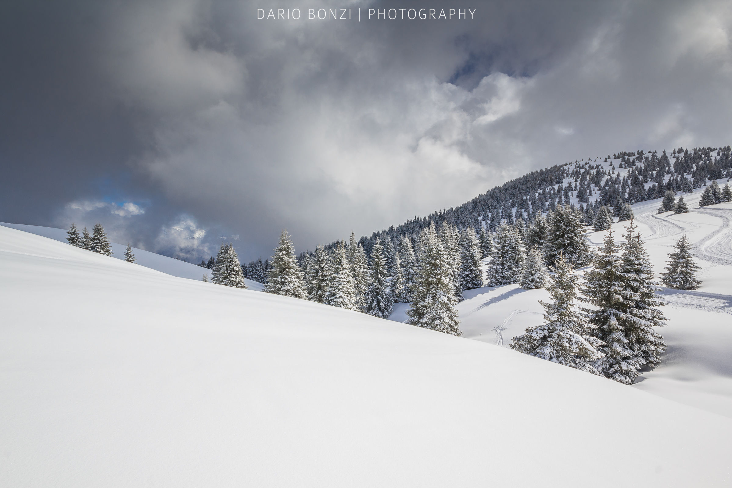 Fare ciò che ami è libertà