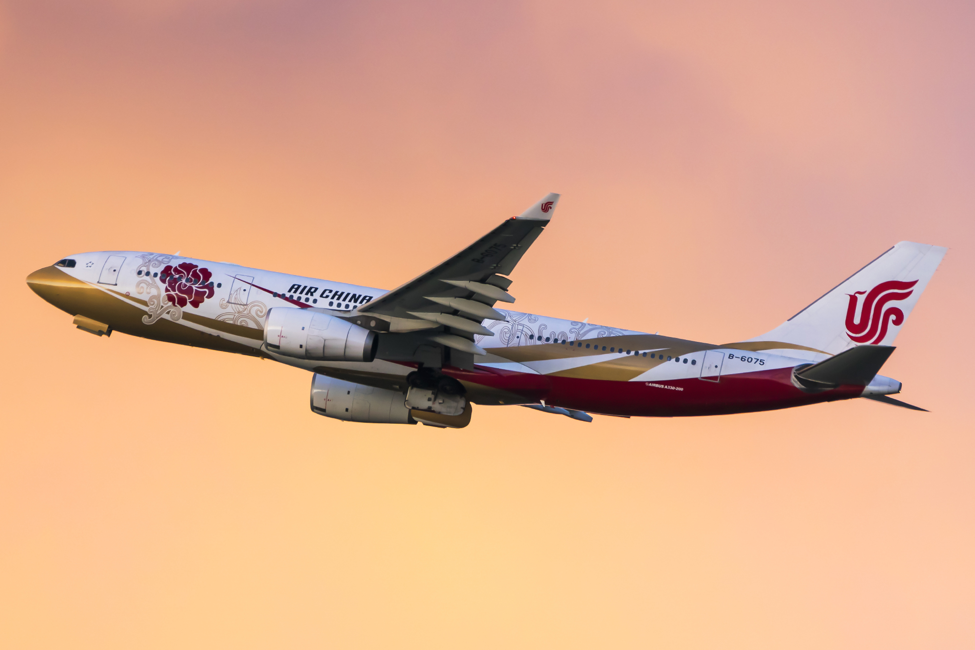 a330 Air China "red flower" - sunset