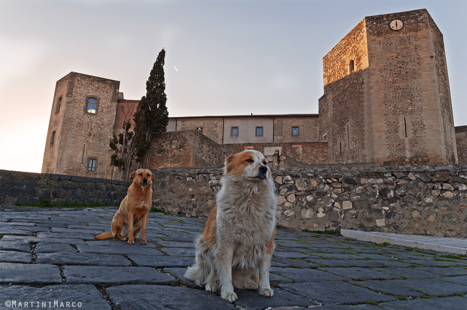I guardiani del castello