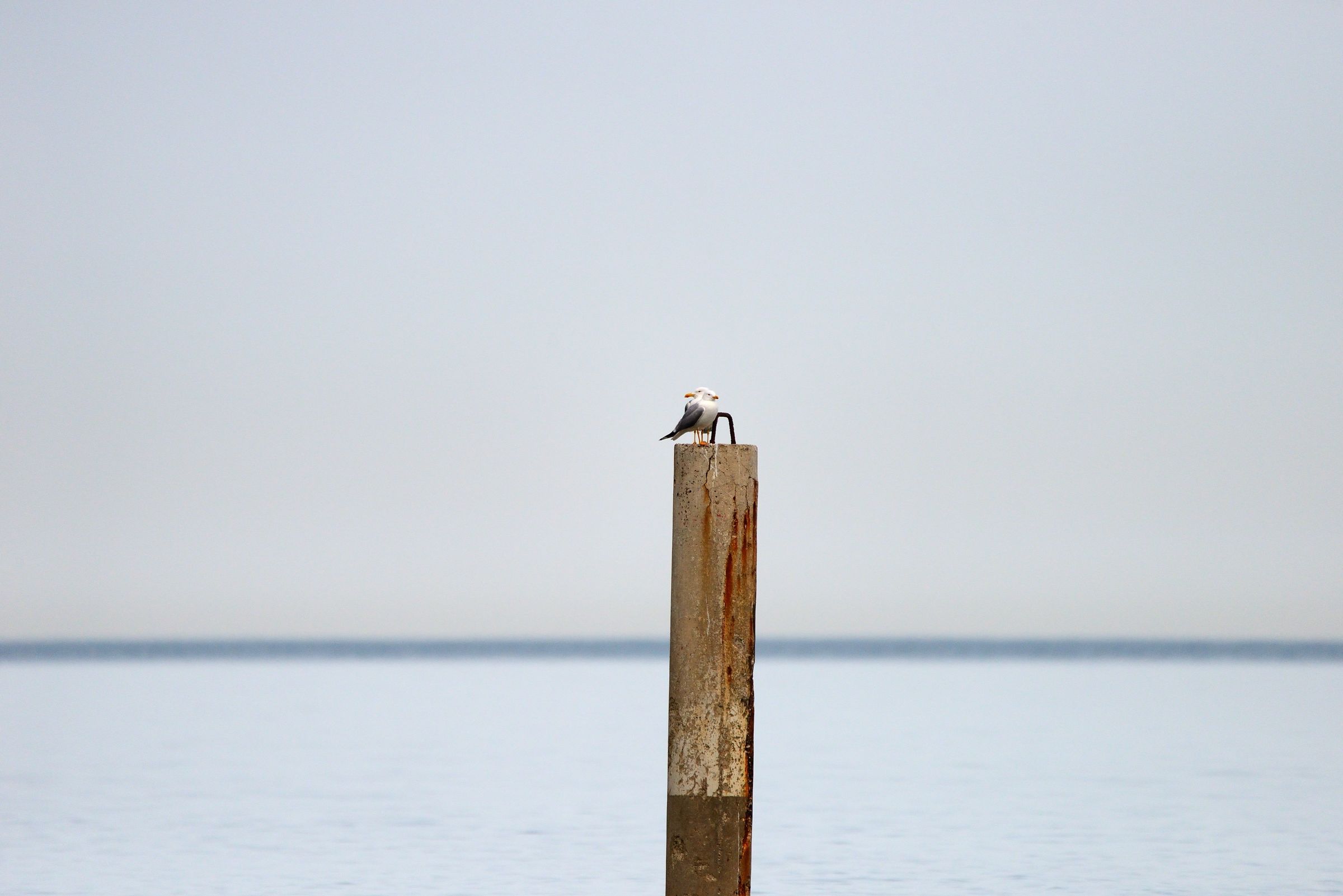 Unità d'intenti e condivisione degli obiettivi
