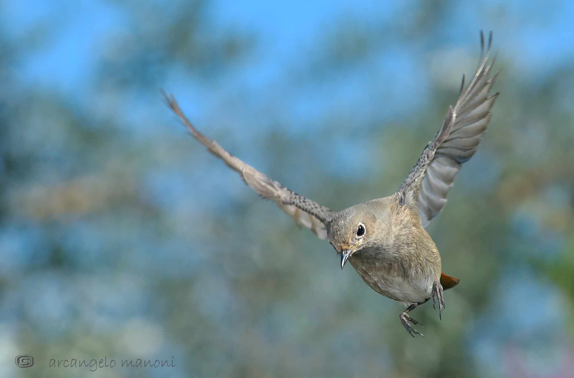 volo di ricognizione