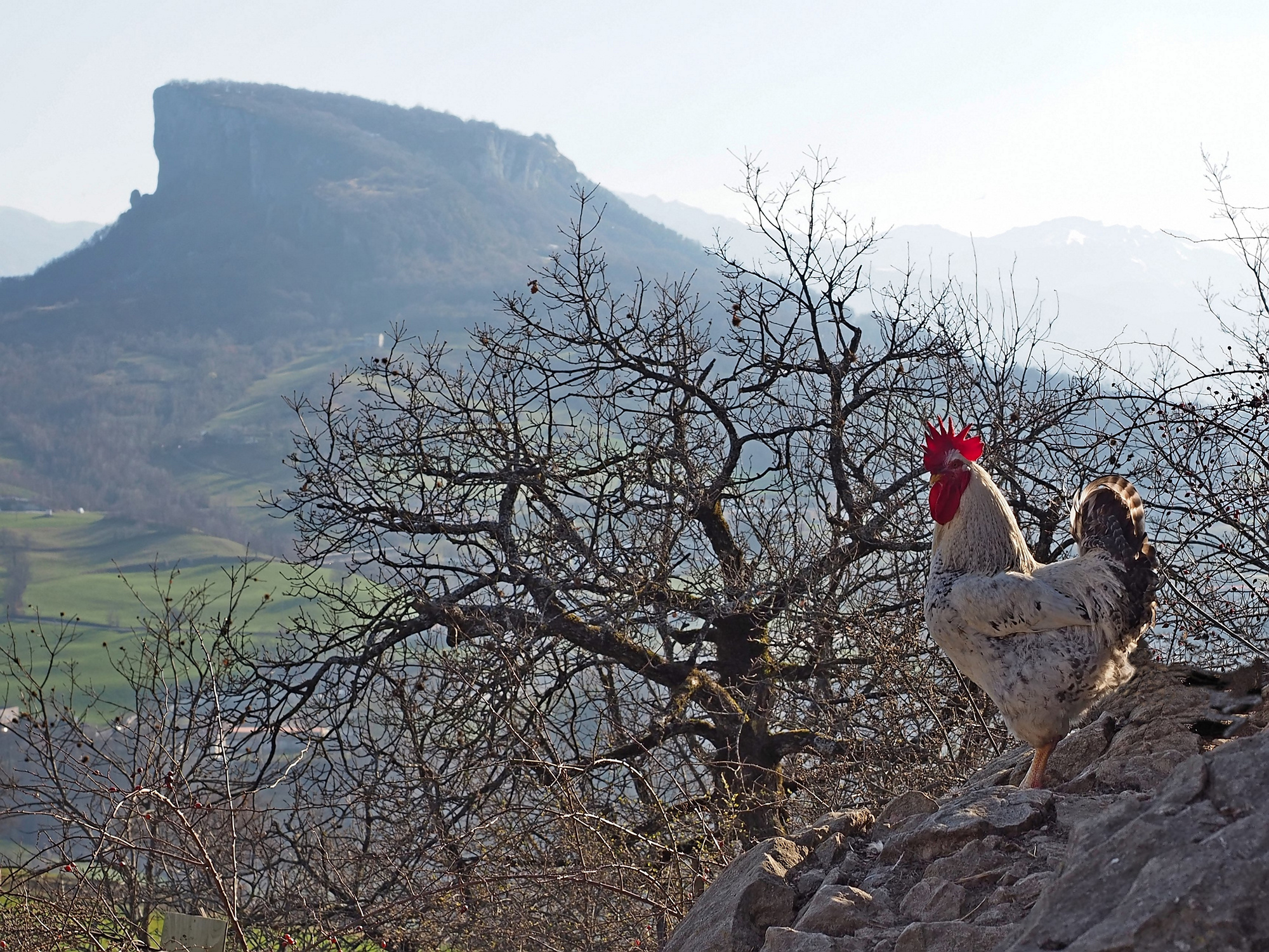 Bismantova from Pietradura 2