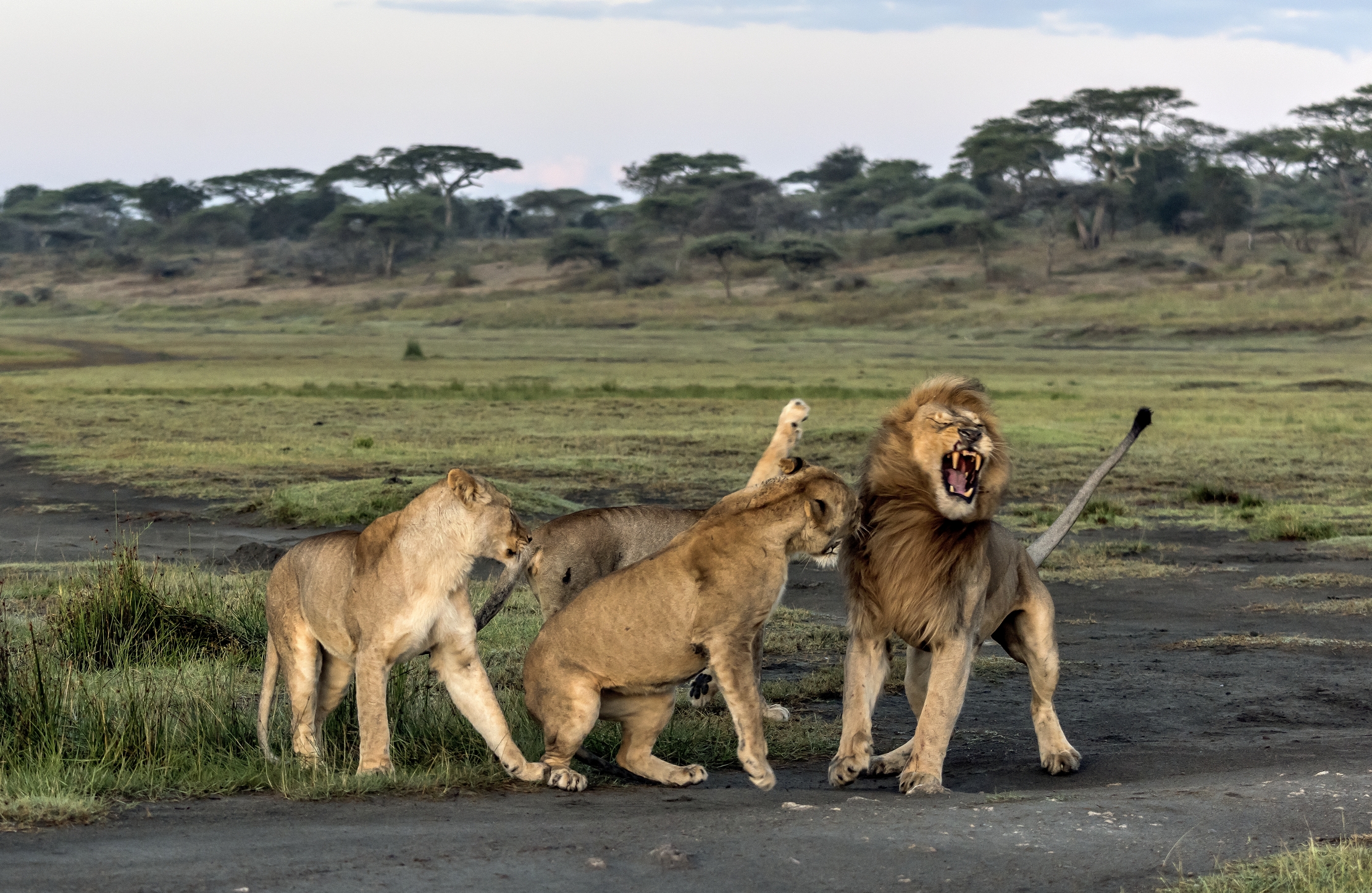 Tanzania 2016 - Lite di famiglia