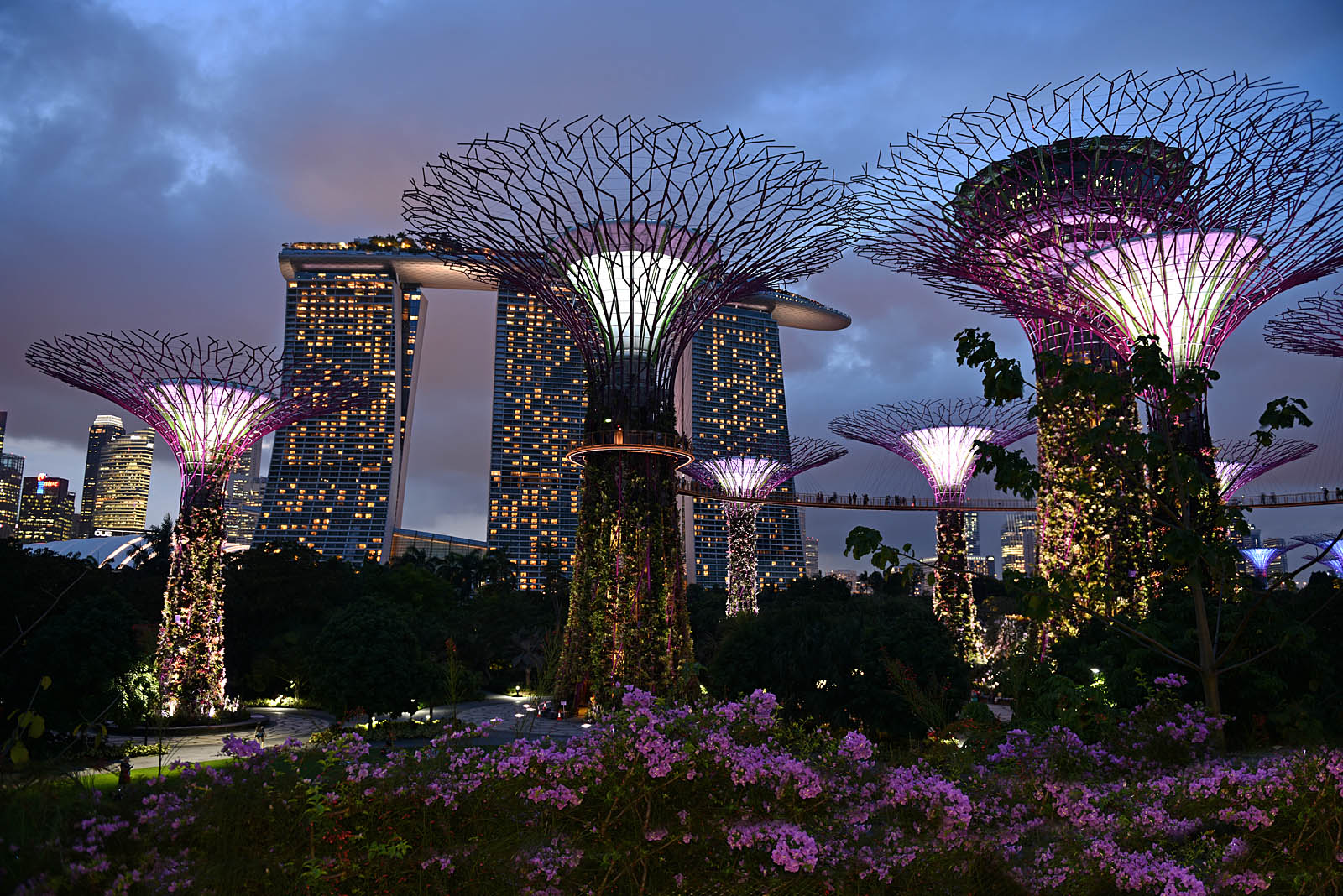 Gardens by the Bay