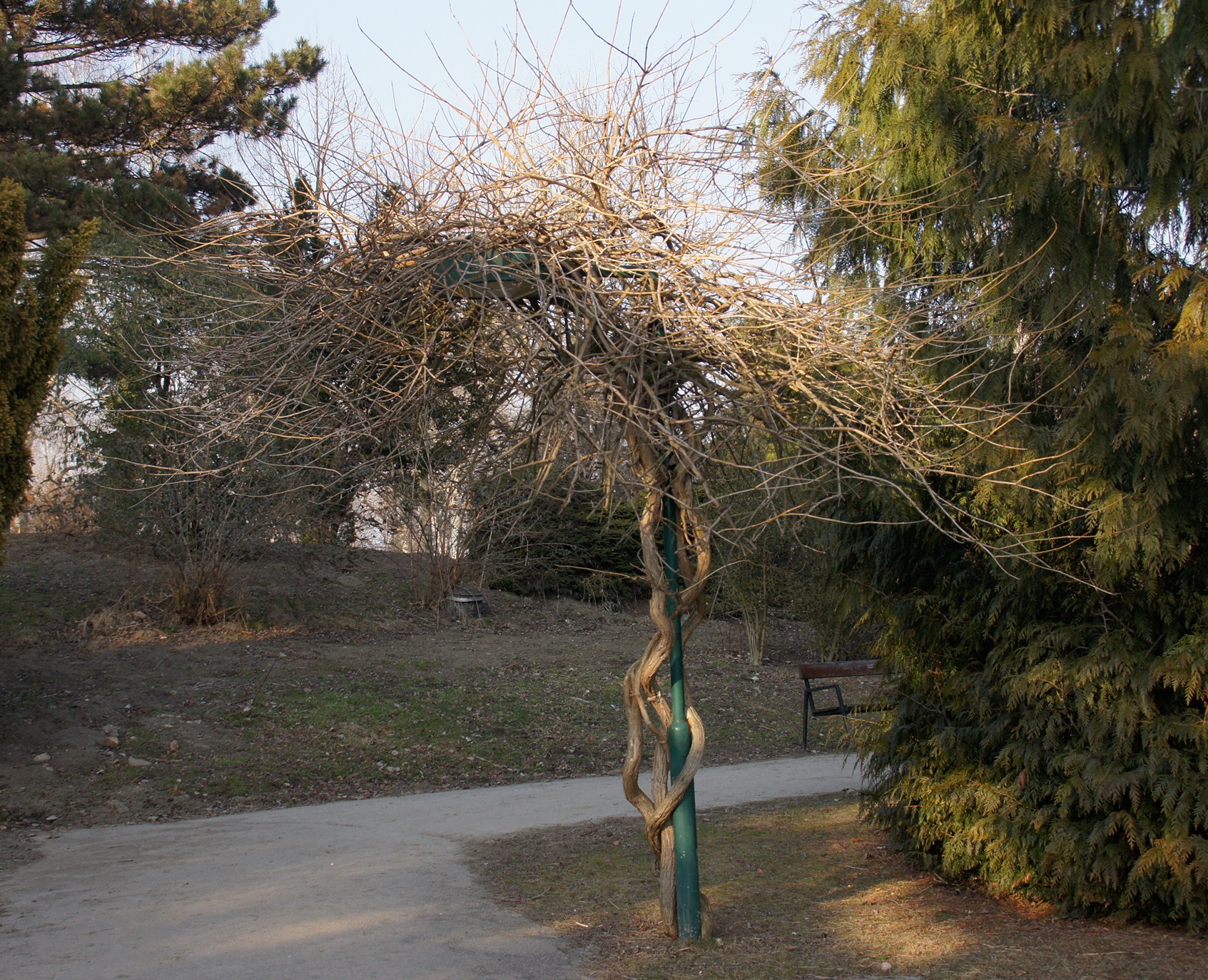 stiamo vicini vicini