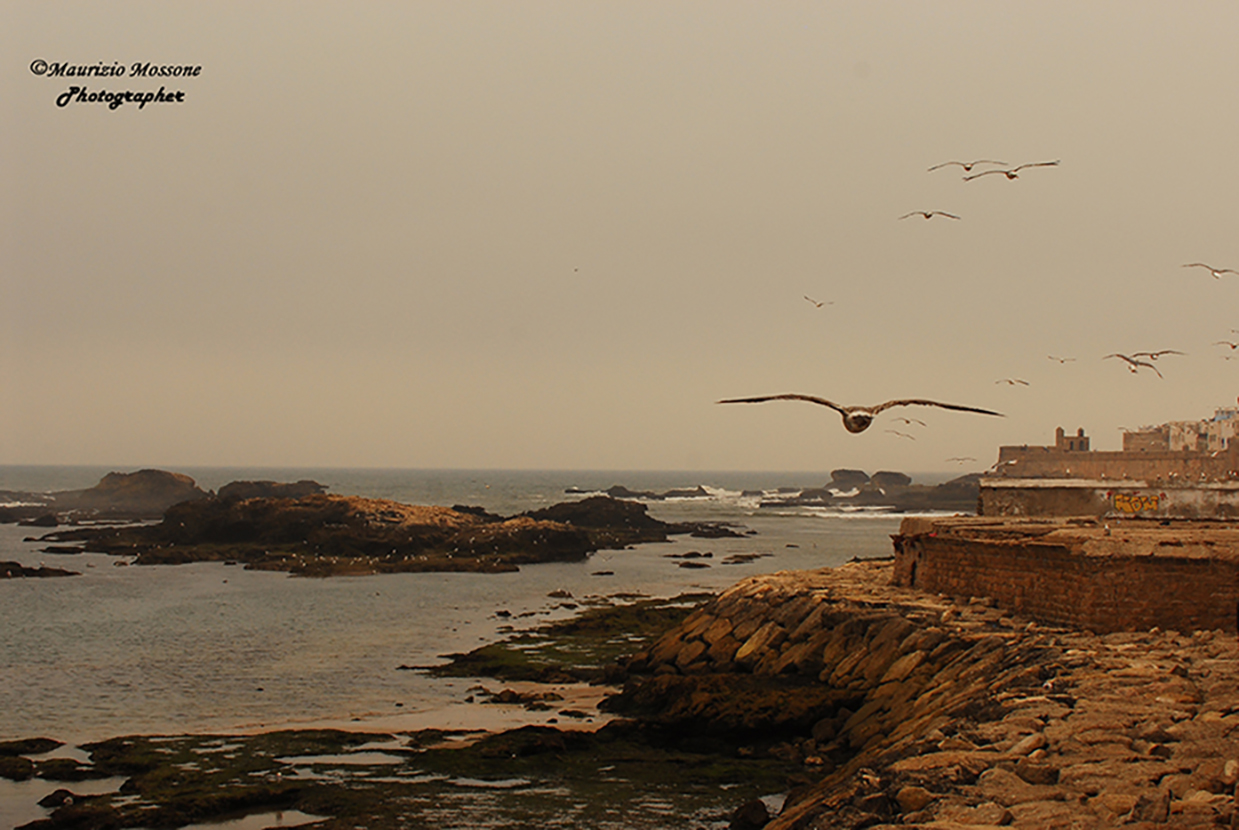 Essaouira