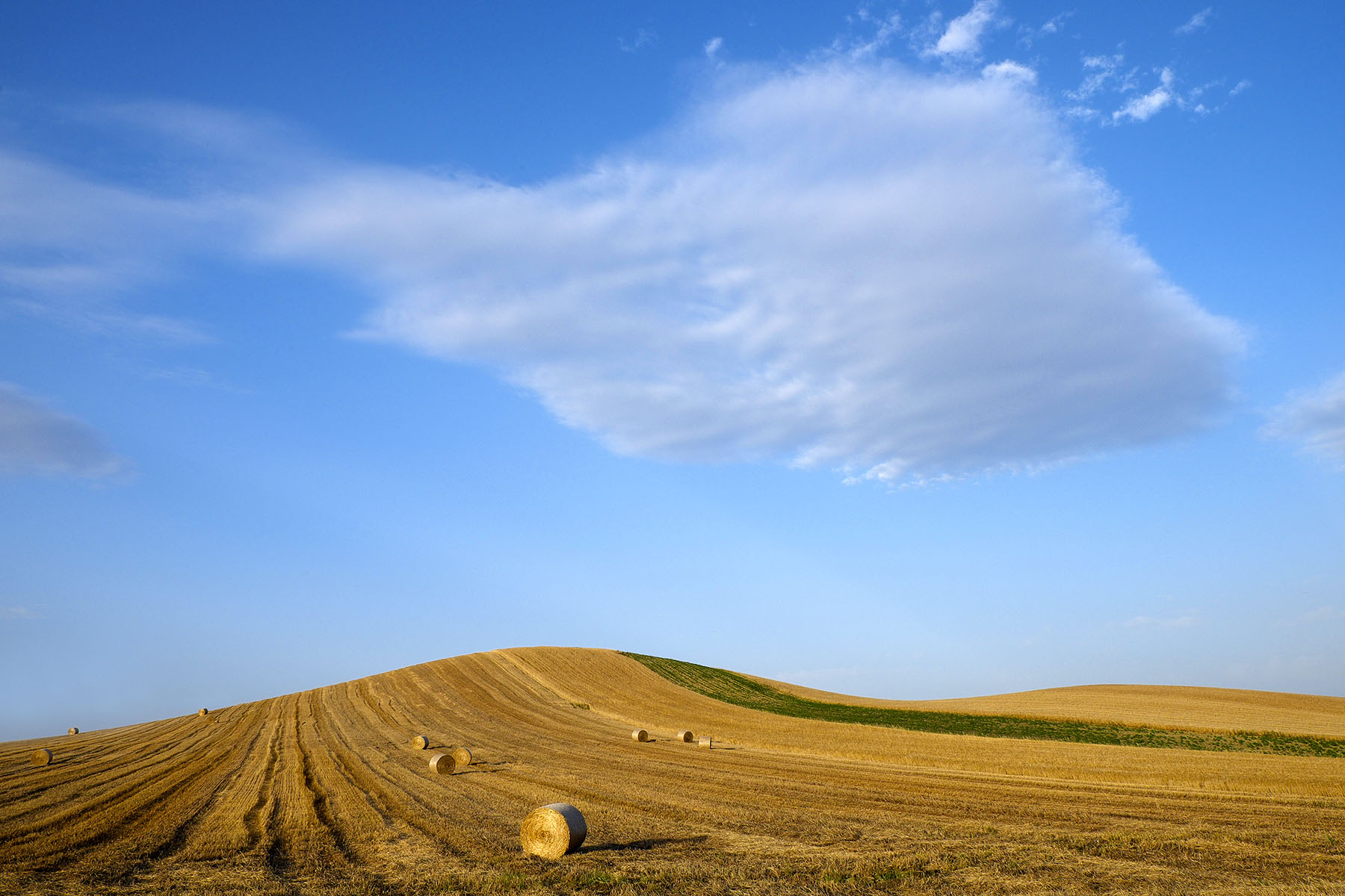 Rolling toward South