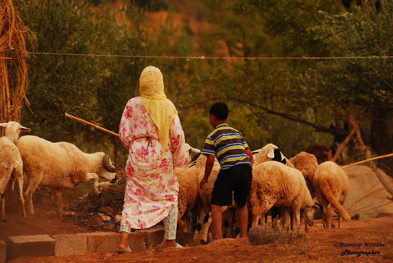 The gathering of the flock