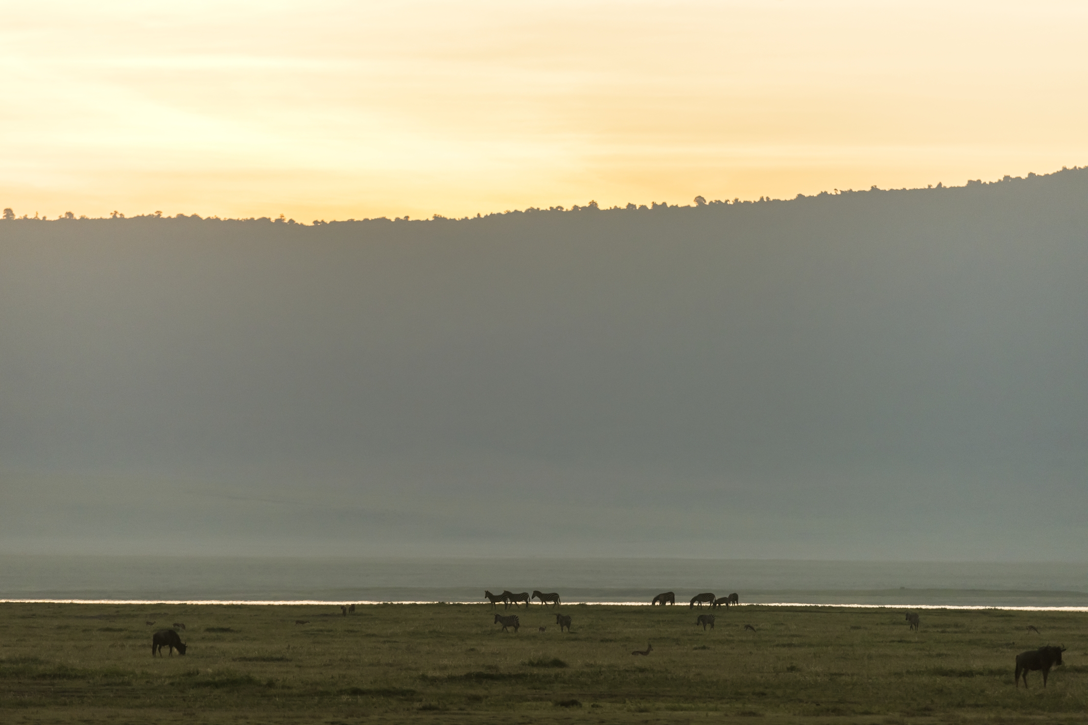 Tanzania 2016 - Alba sul Ngorongoro crater