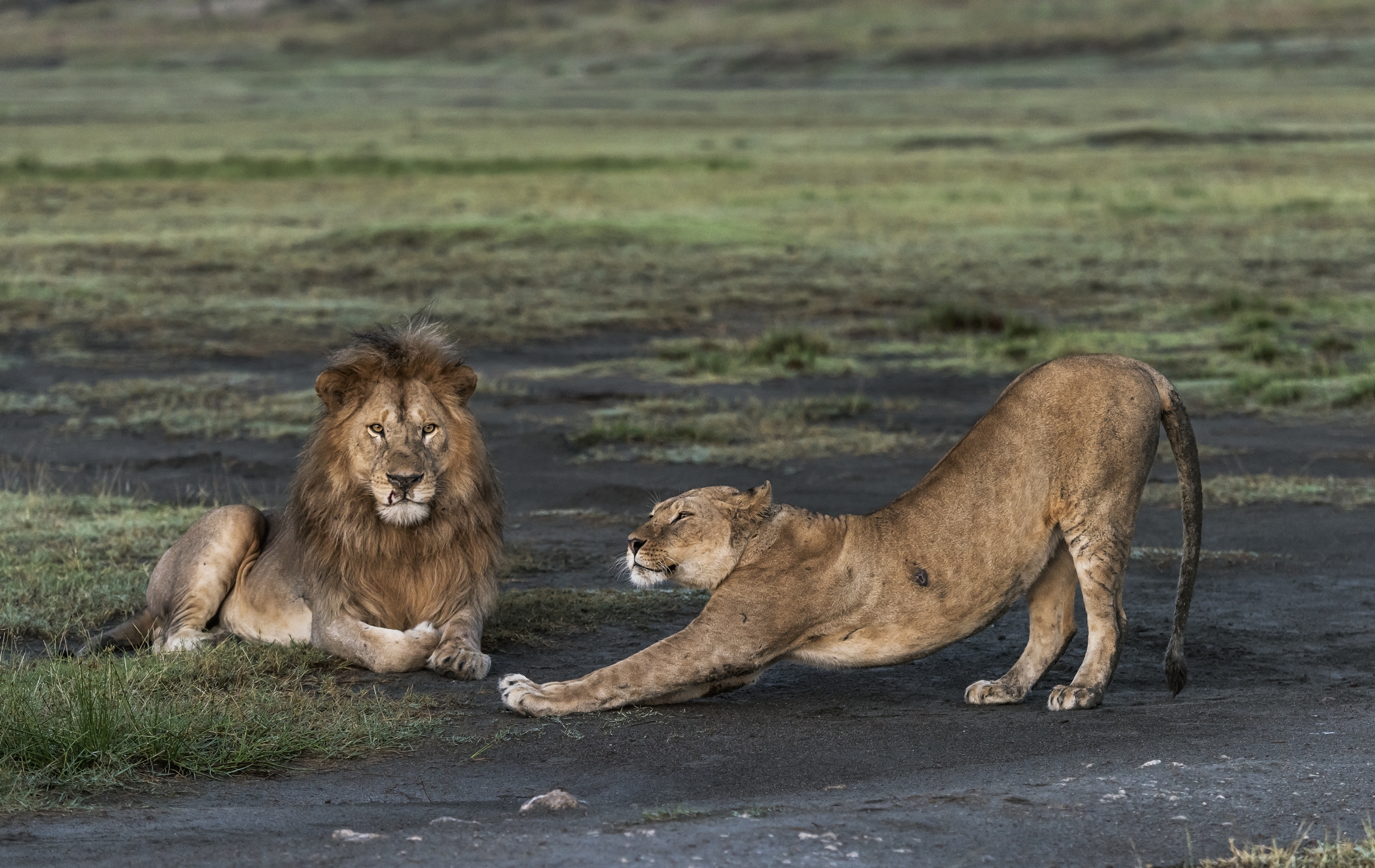 Tanzania 2016 - Momenti