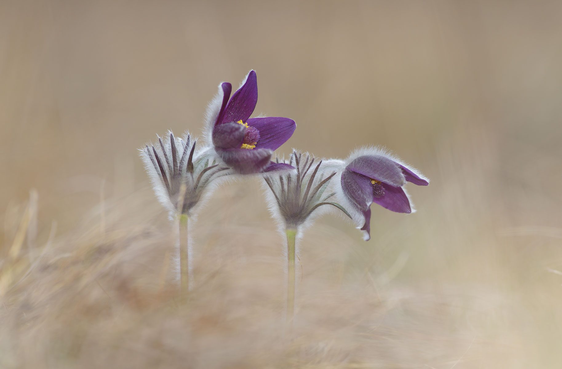 They are for one another.